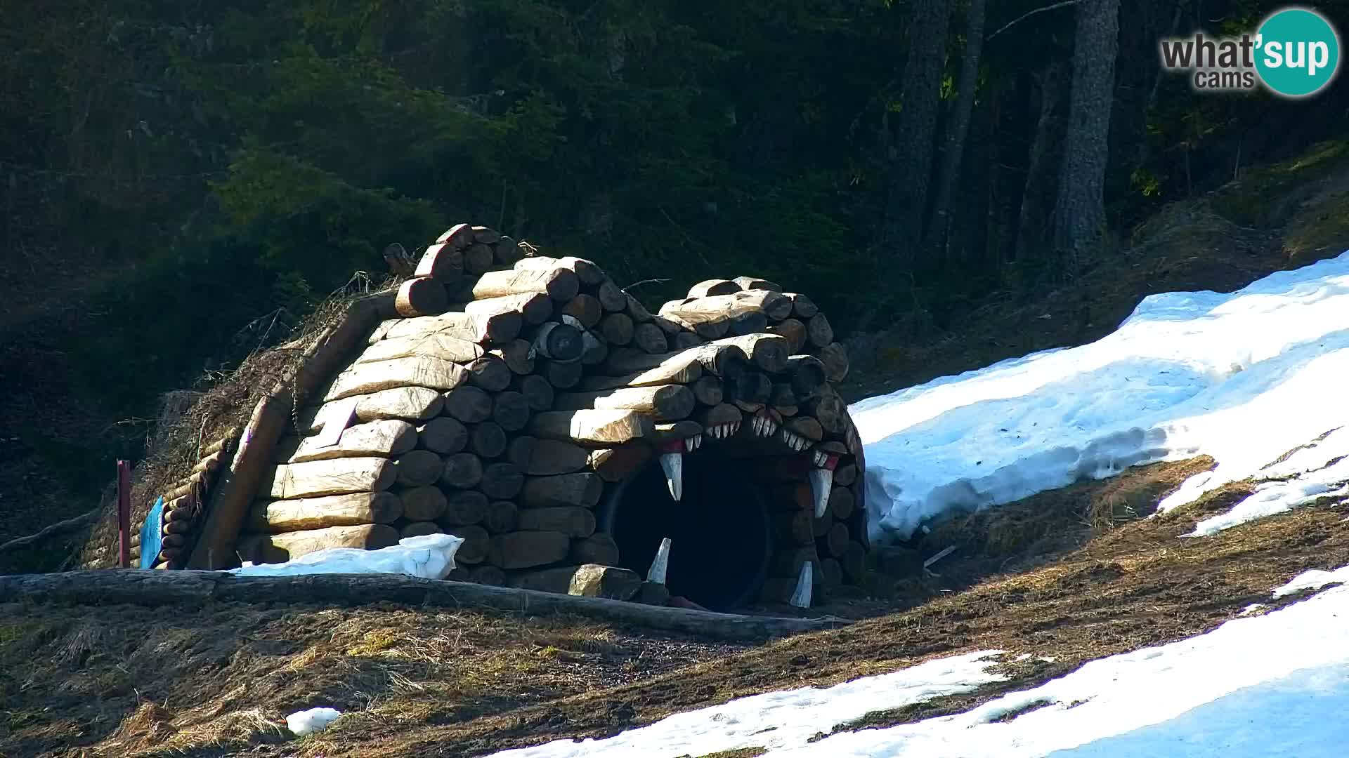 Vitranc Kranjska Gora webcam | VITRANC 1 stazione superiore