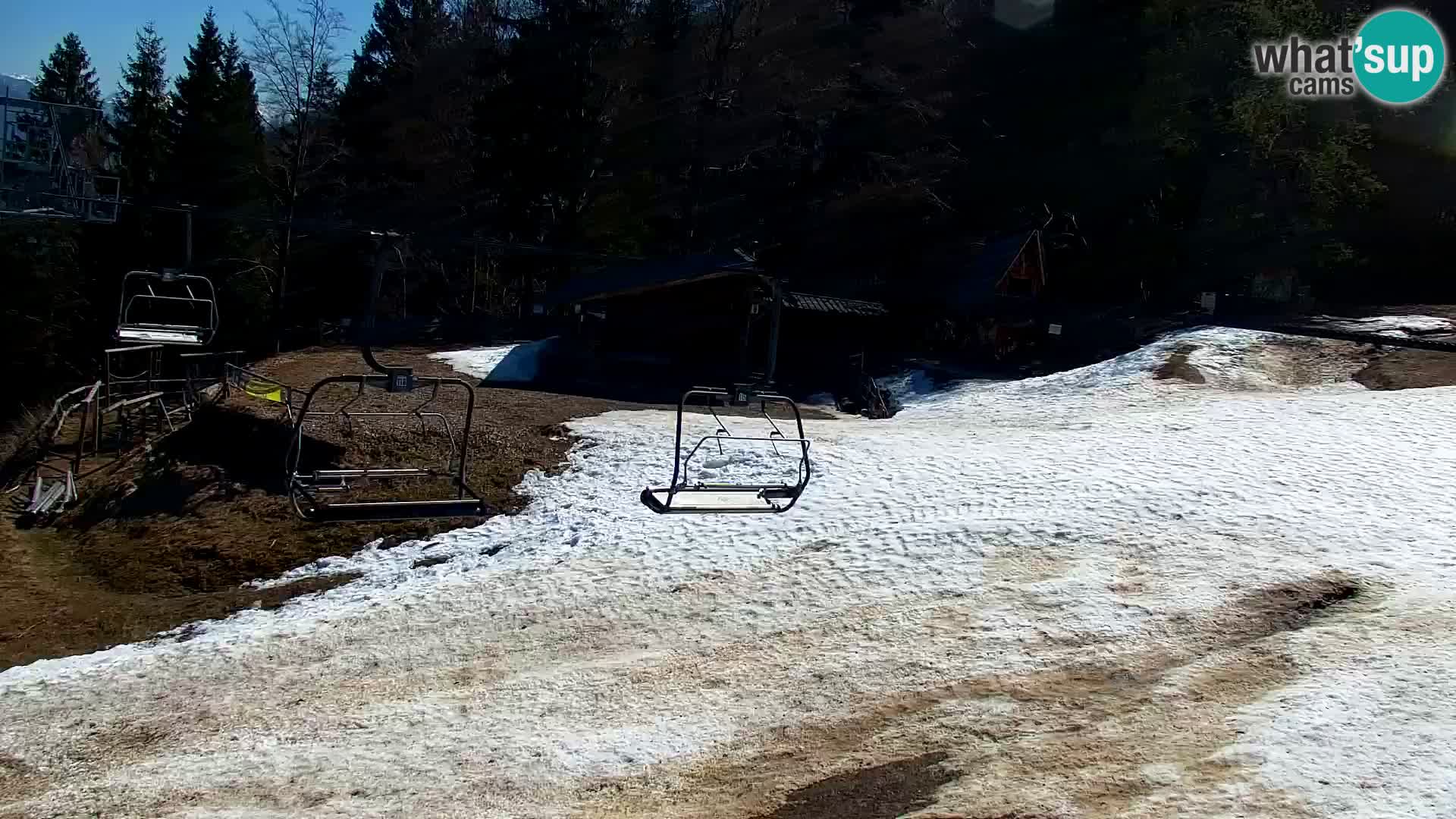 Vitranc Kranjska Gora webcam | VITRANC 1 stazione superiore