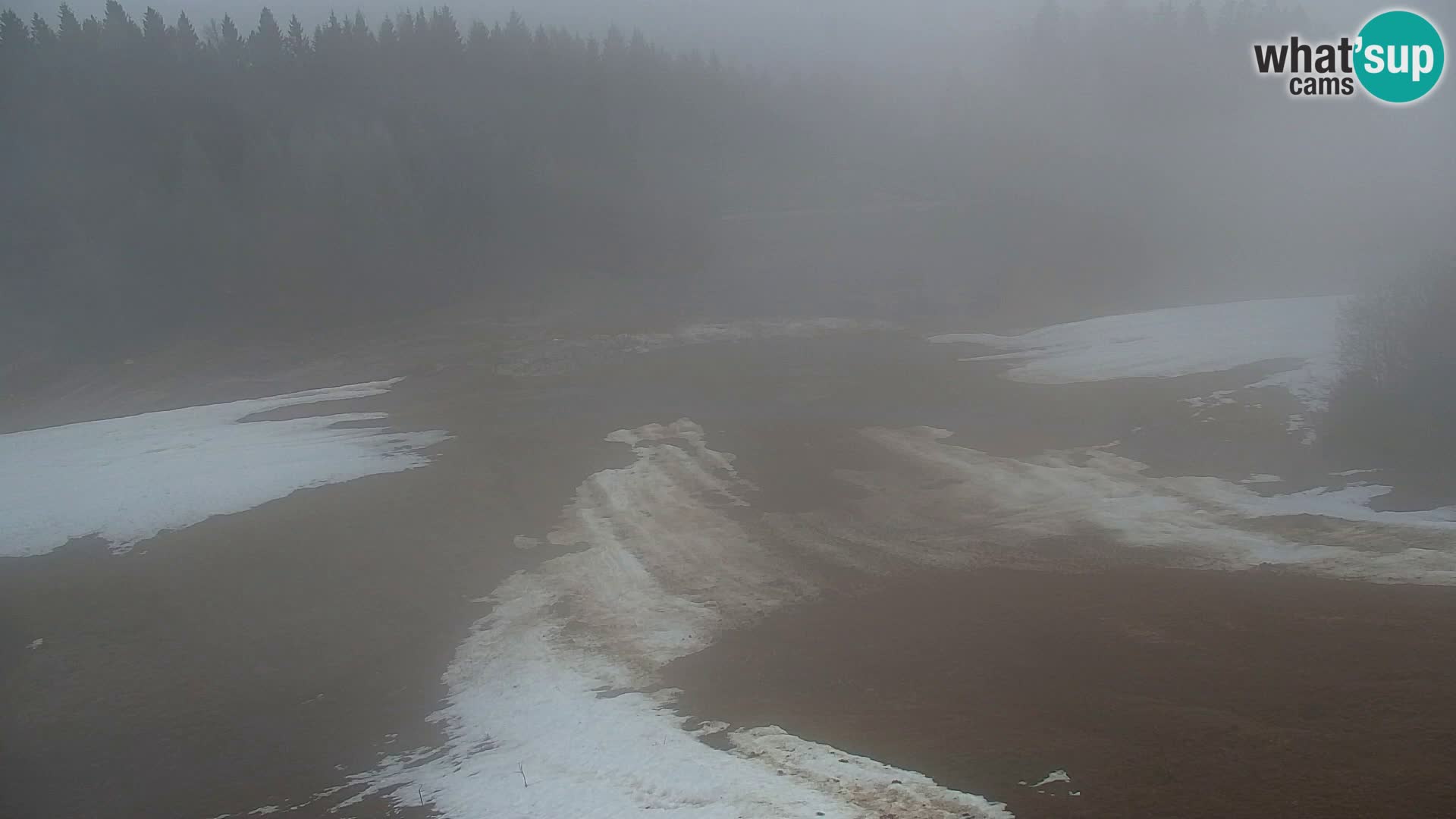 Vitranc Kranjska Gora webcam | VITRANC 1 stazione superiore