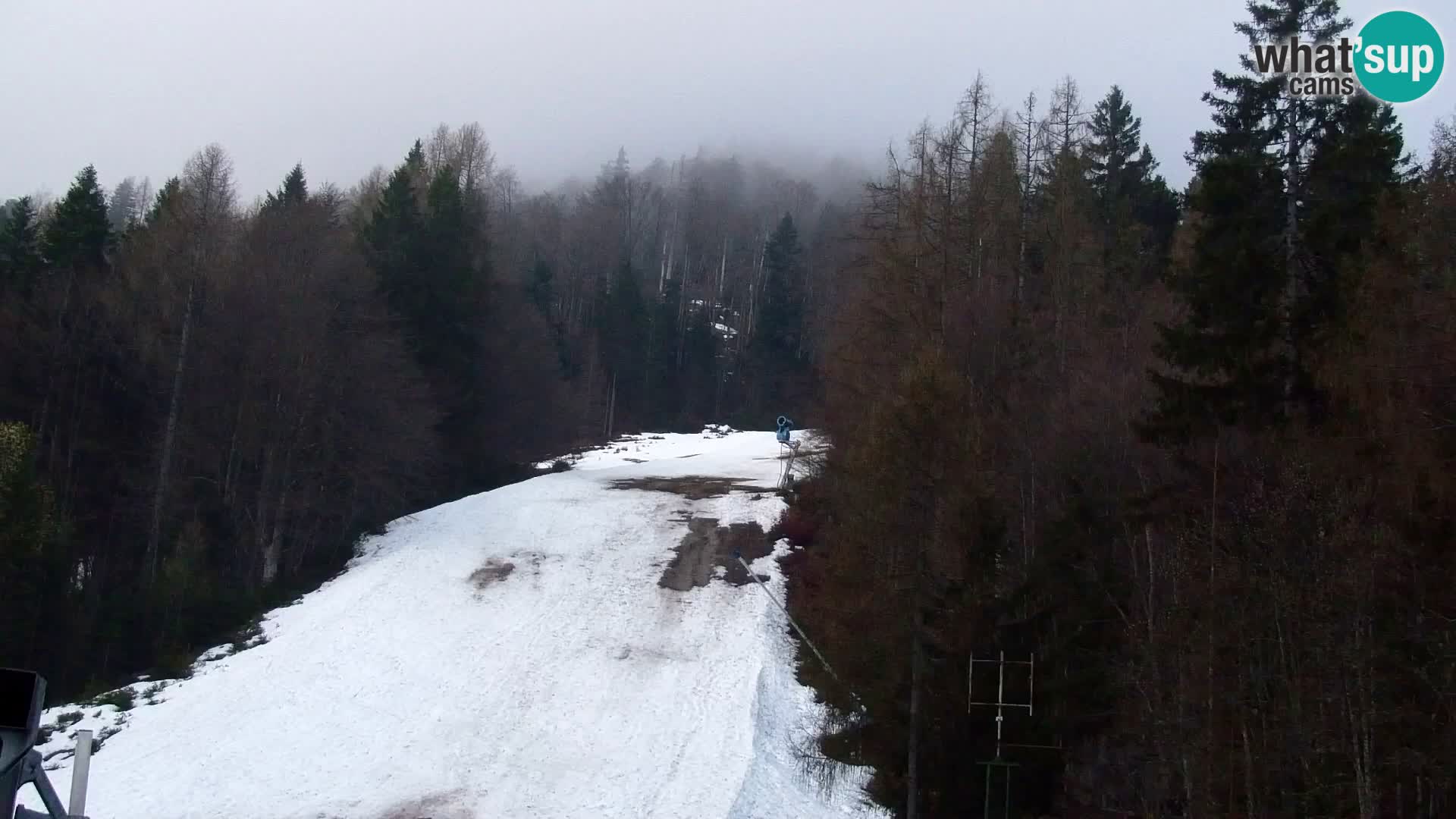 Kranjska Gora livecam VITRANC 1 | estación superior