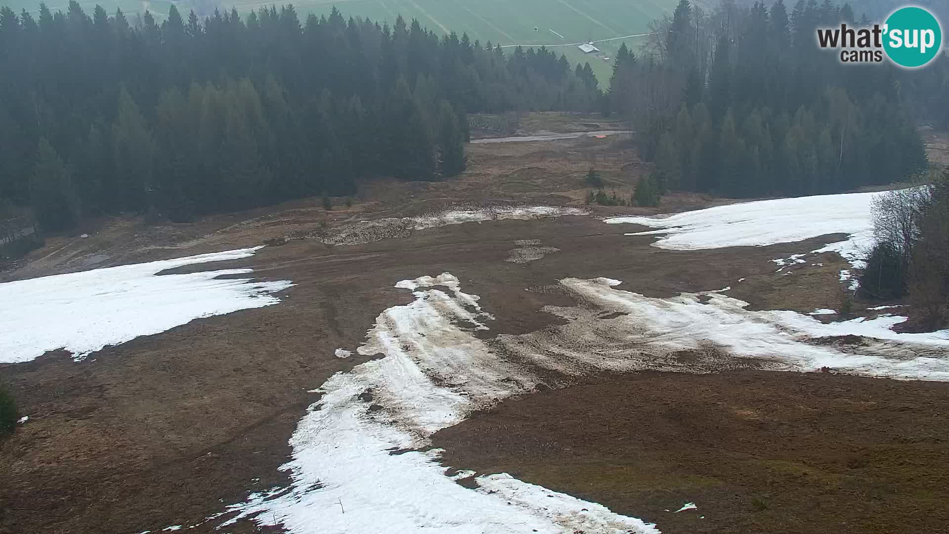 Kranjska Gora web kamera Vitranc | VITRANC 1 gornja postaja