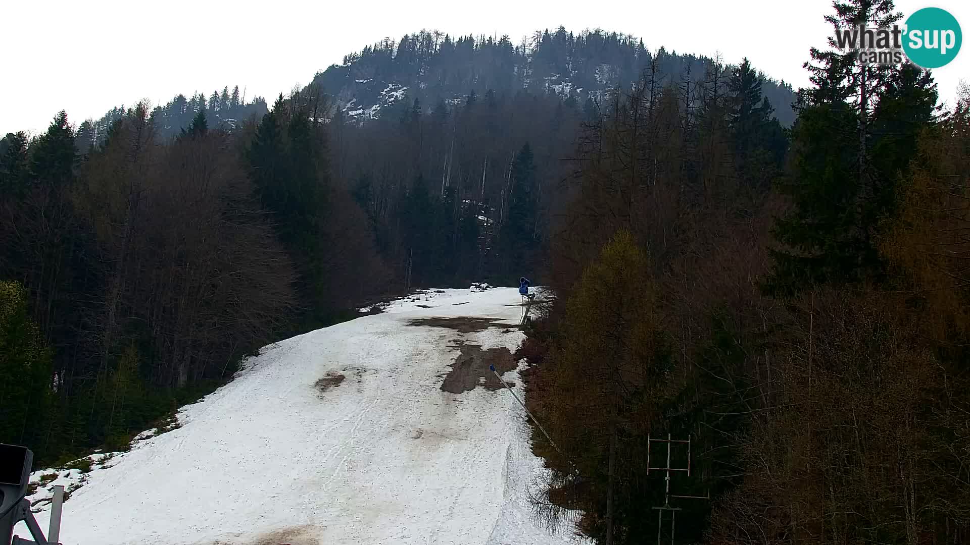 Kranjska Gora webcam VITRANC 1 | obere Station