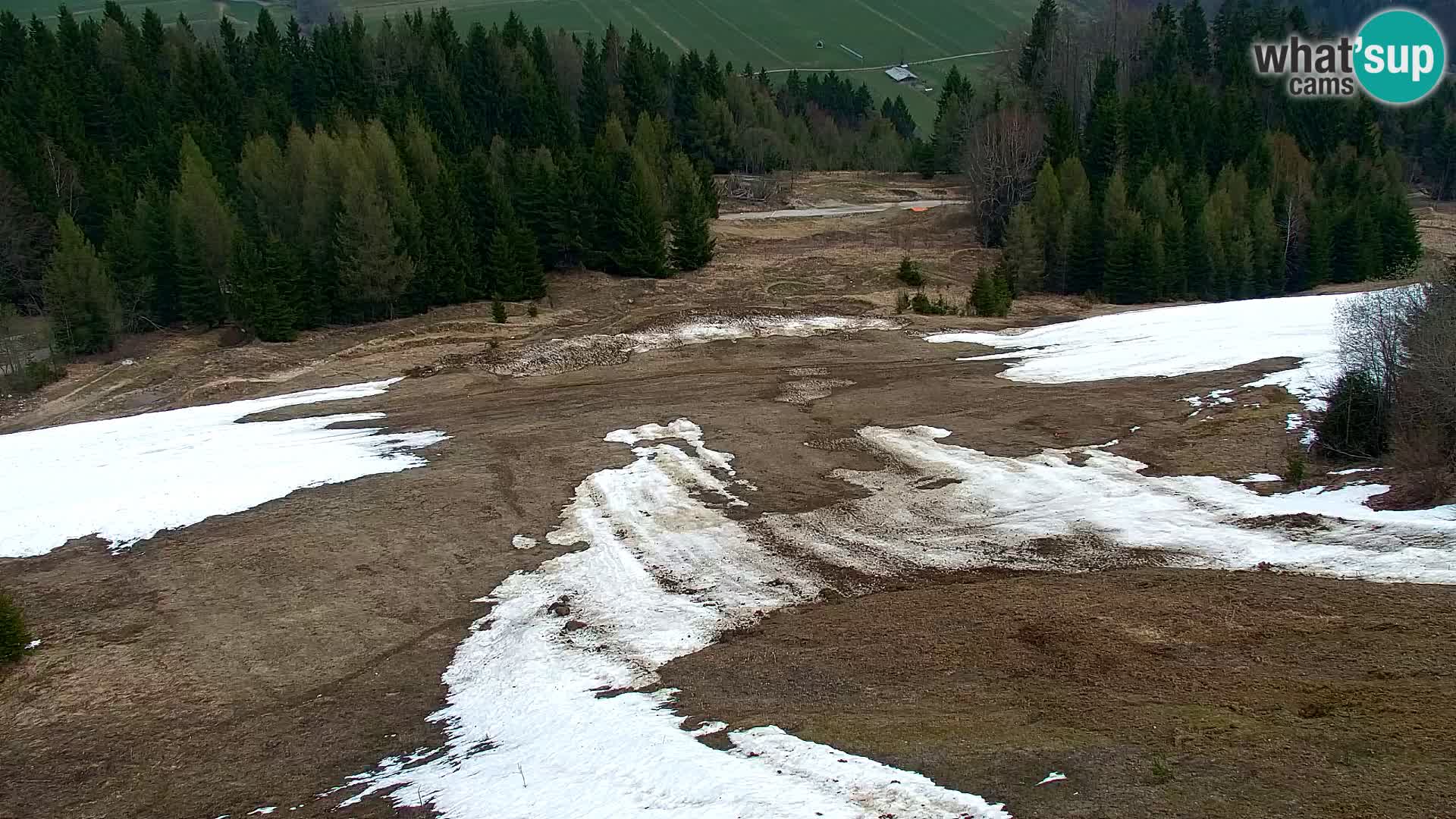 Vitranc Kranjska Gora webcam | VITRANC 1 stazione superiore