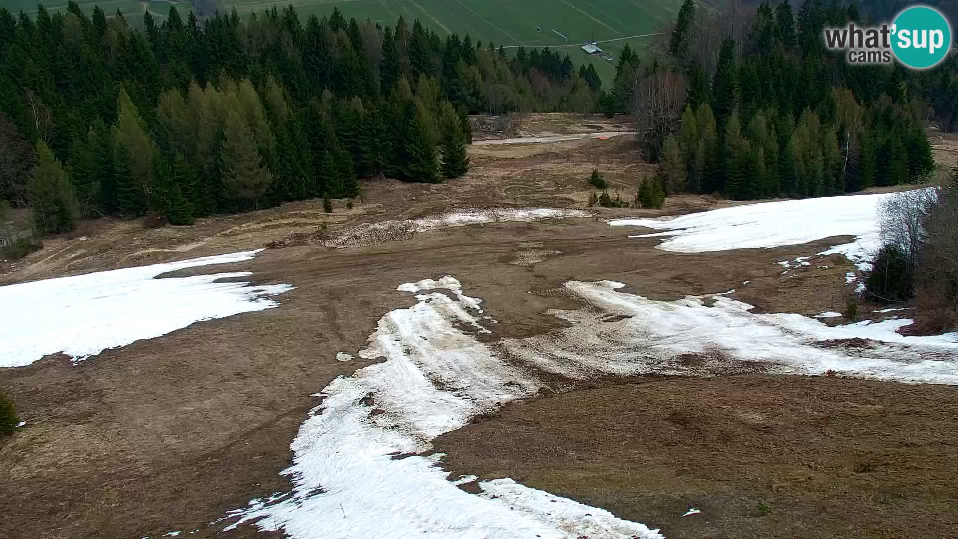 Vitranc Kranjska Gora webcam | VITRANC 1 stazione superiore