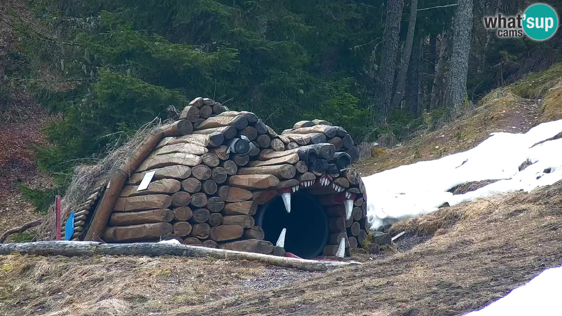 Kranjska Gora web kamera Vitranc | VITRANC 1 gornja postaja