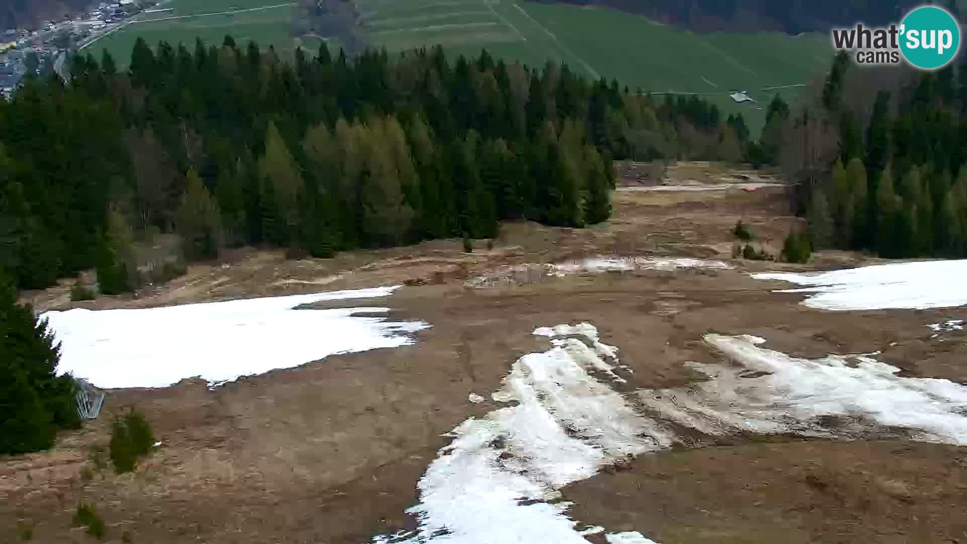 Vitranc Kranjska Gora webcam | VITRANC 1 stazione superiore