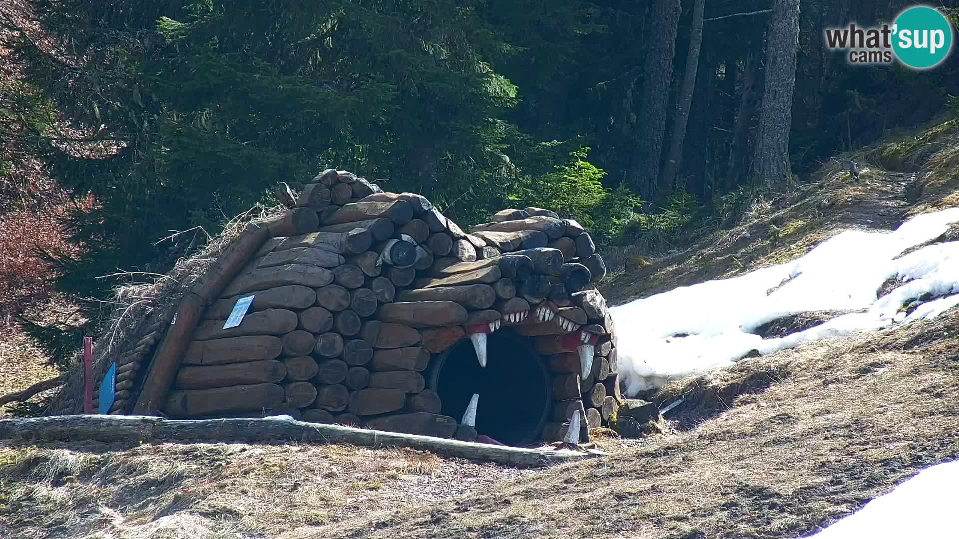 Kranjska Gora web kamera Vitranc | VITRANC 1 gornja postaja