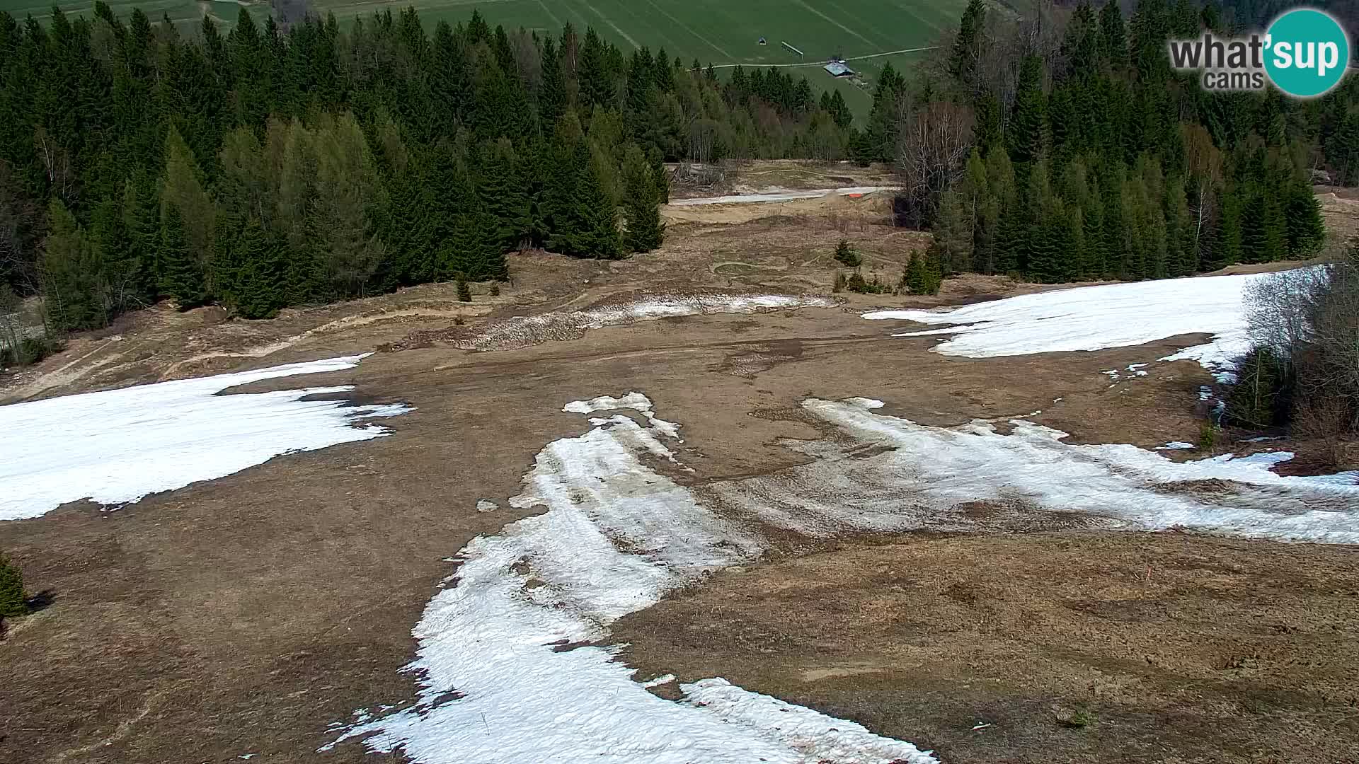 Vitranc Kranjska Gora webcam | VITRANC 1 stazione superiore