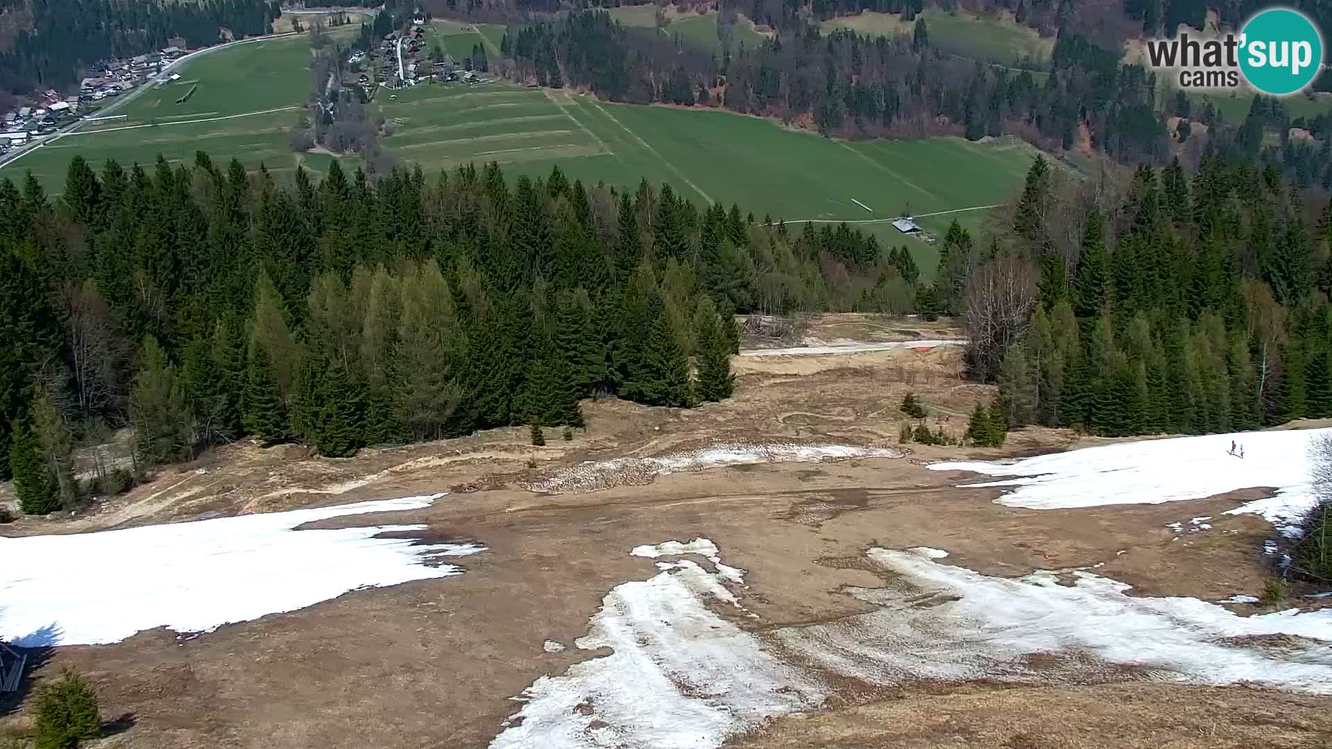 Vitranc Kranjska Gora webcam | VITRANC 1 stazione superiore