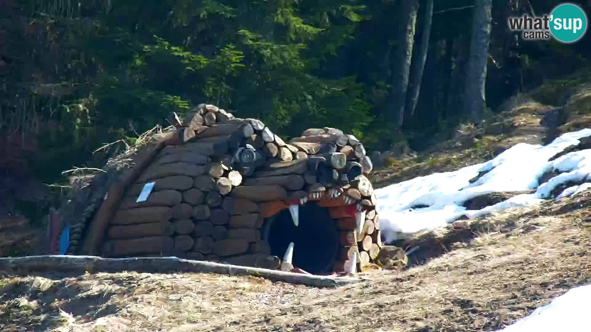 Ski Resort Kranjska Gora | VITRANC 1 upper station