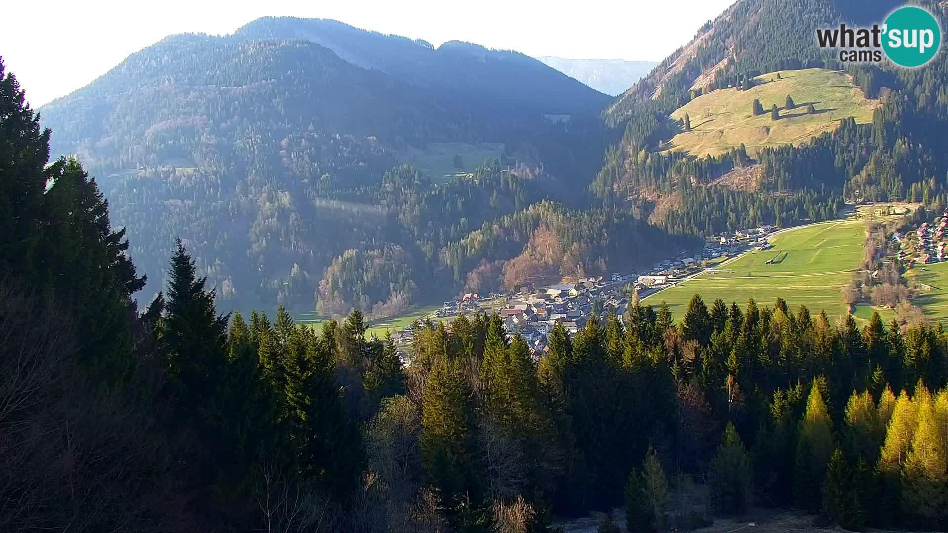 Vitranc Kranjska Gora webcam | VITRANC 1 stazione superiore