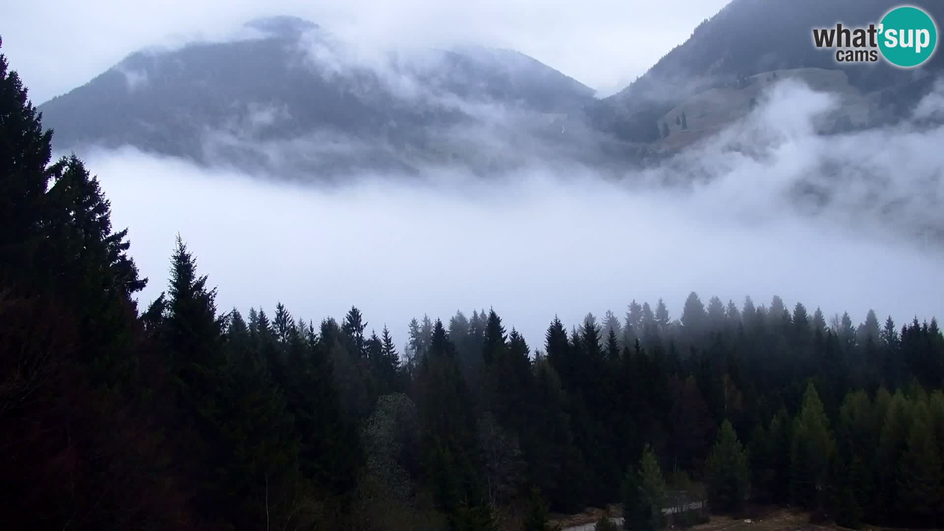 Kranjska Gora web kamera Vitranc | VITRANC 1 gornja postaja