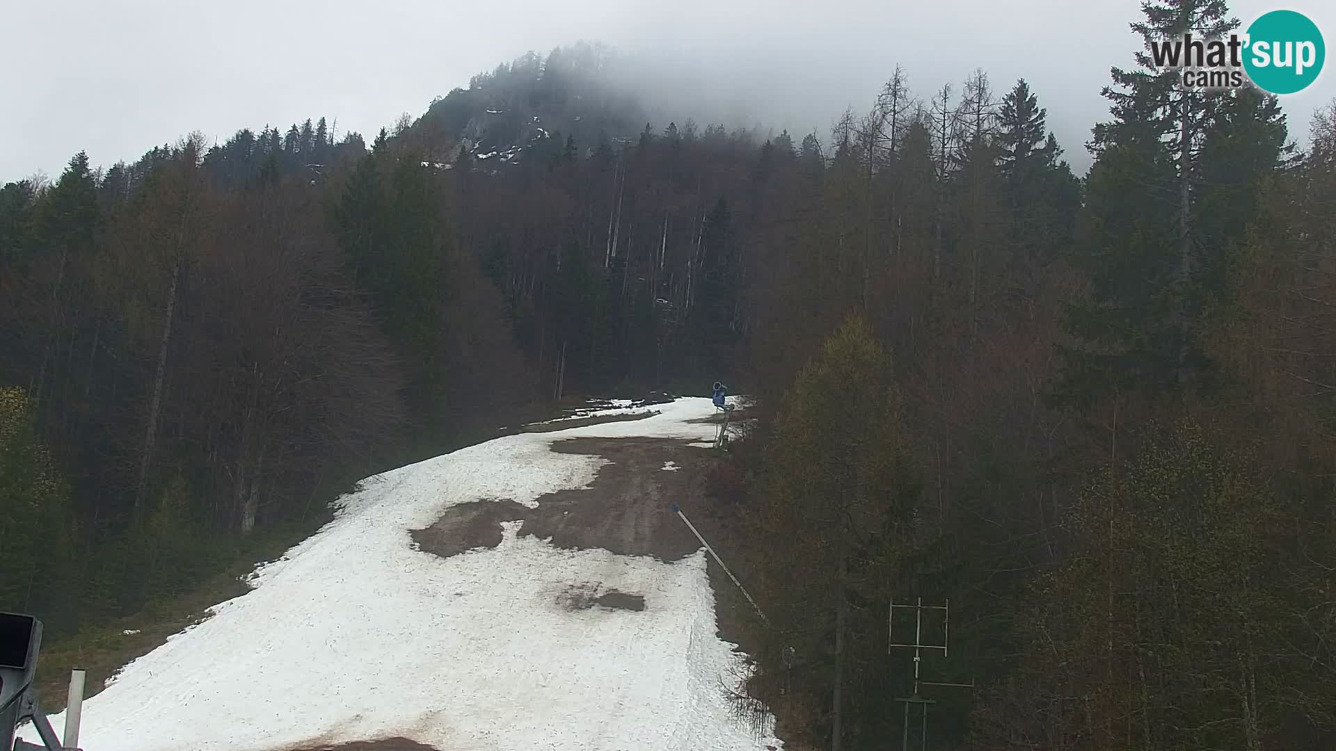 Kranjska Gora livecam VITRANC 1 | estación superior