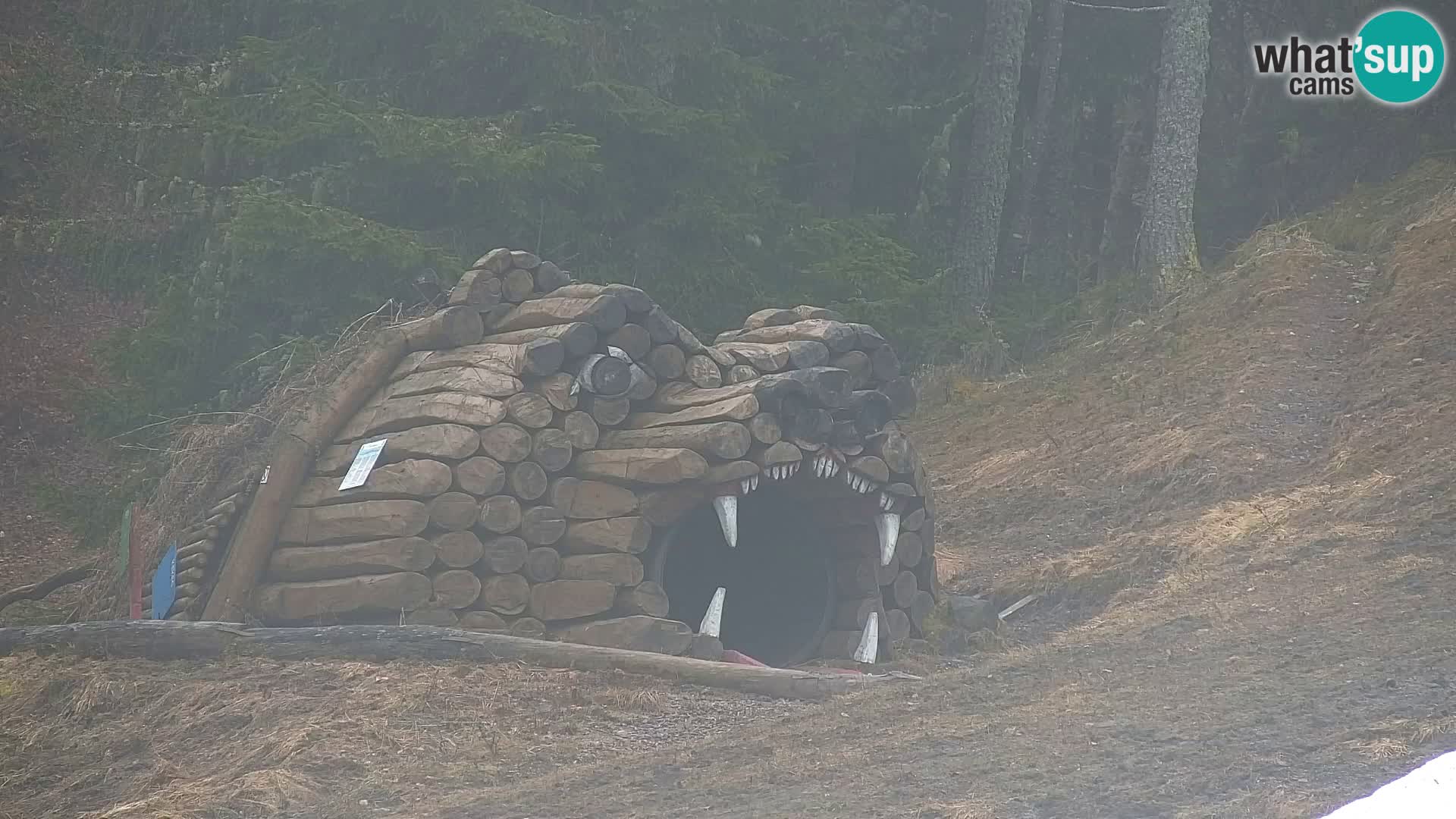 Kranjska Gora web kamera Vitranc | VITRANC 1 gornja postaja