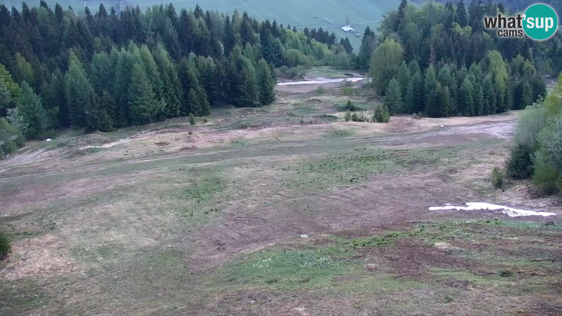 Kranjska Gora web kamera Vitranc | VITRANC 1 gornja postaja