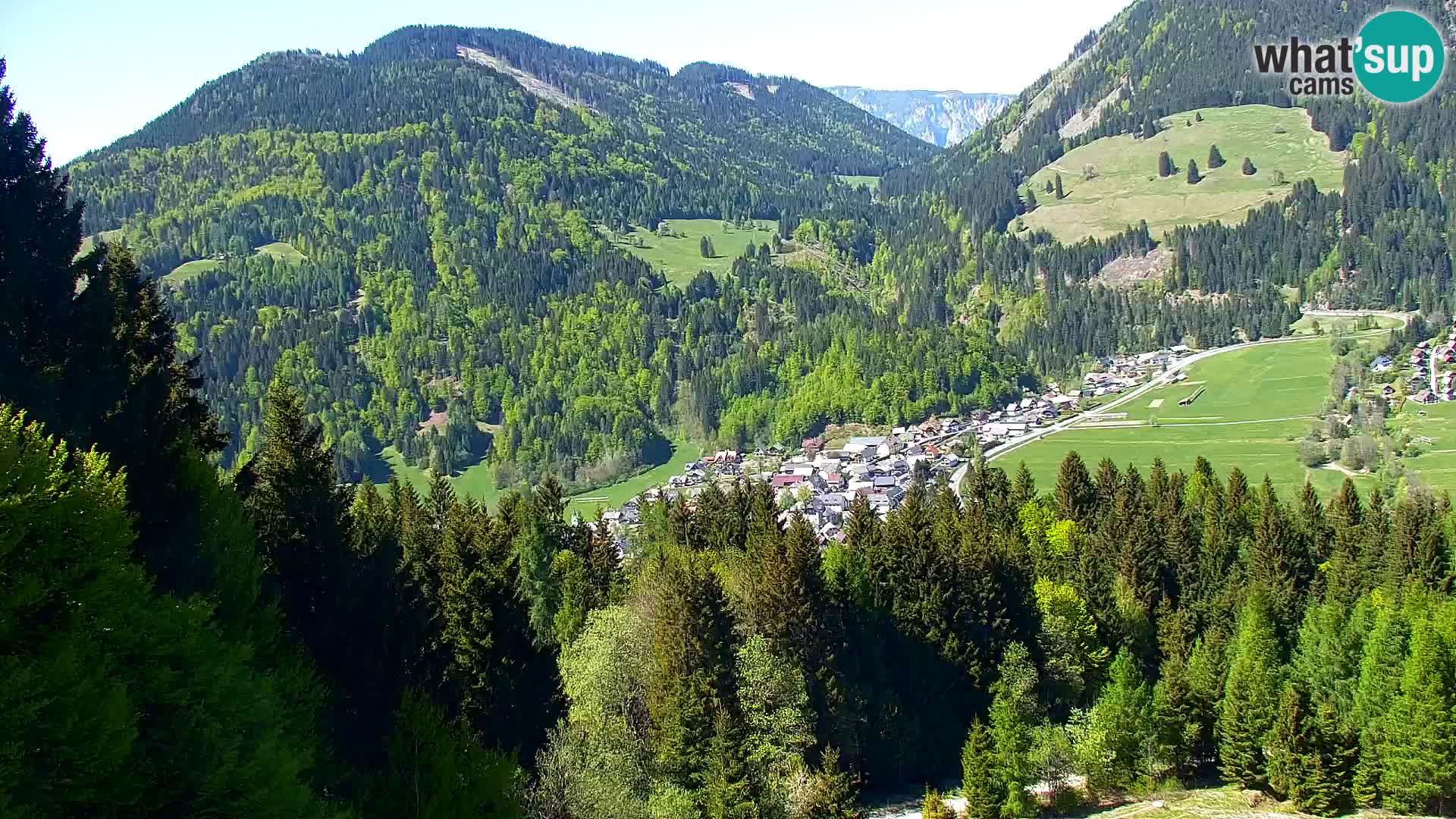 Vitranc Kranjska Gora webcam | VITRANC 1 stazione superiore