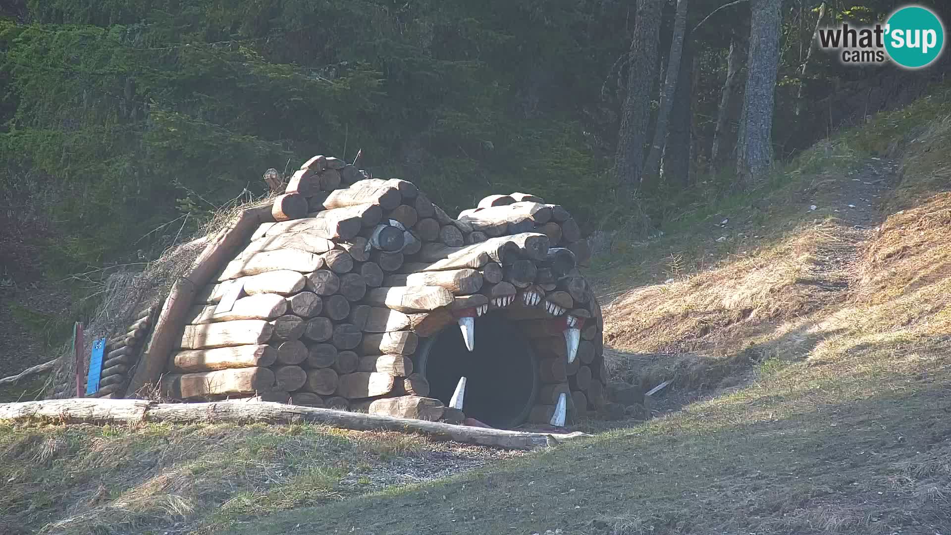 Kranjska Gora web kamera Vitranc | VITRANC 1 gornja postaja