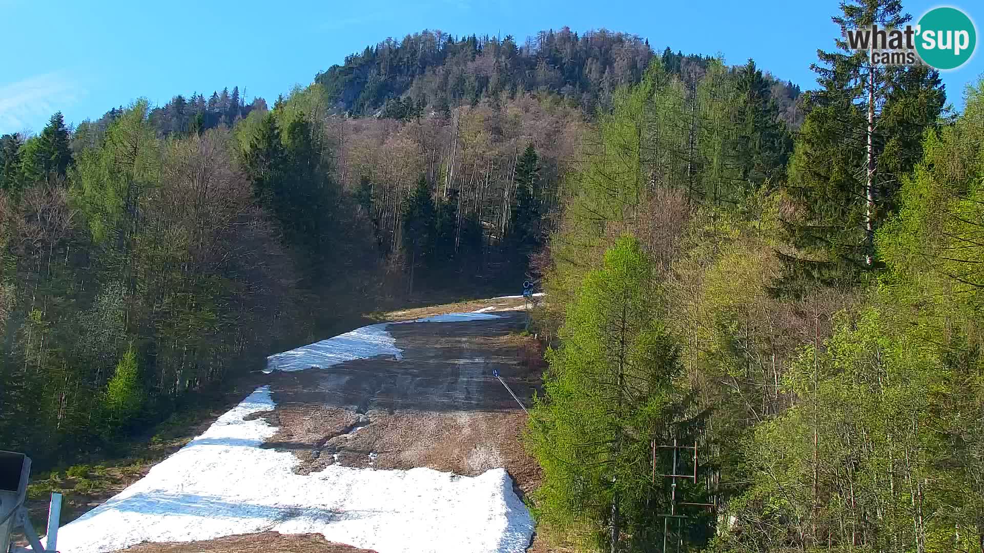 Vitranc Kranjska Gora webcam | VITRANC 1 stazione superiore
