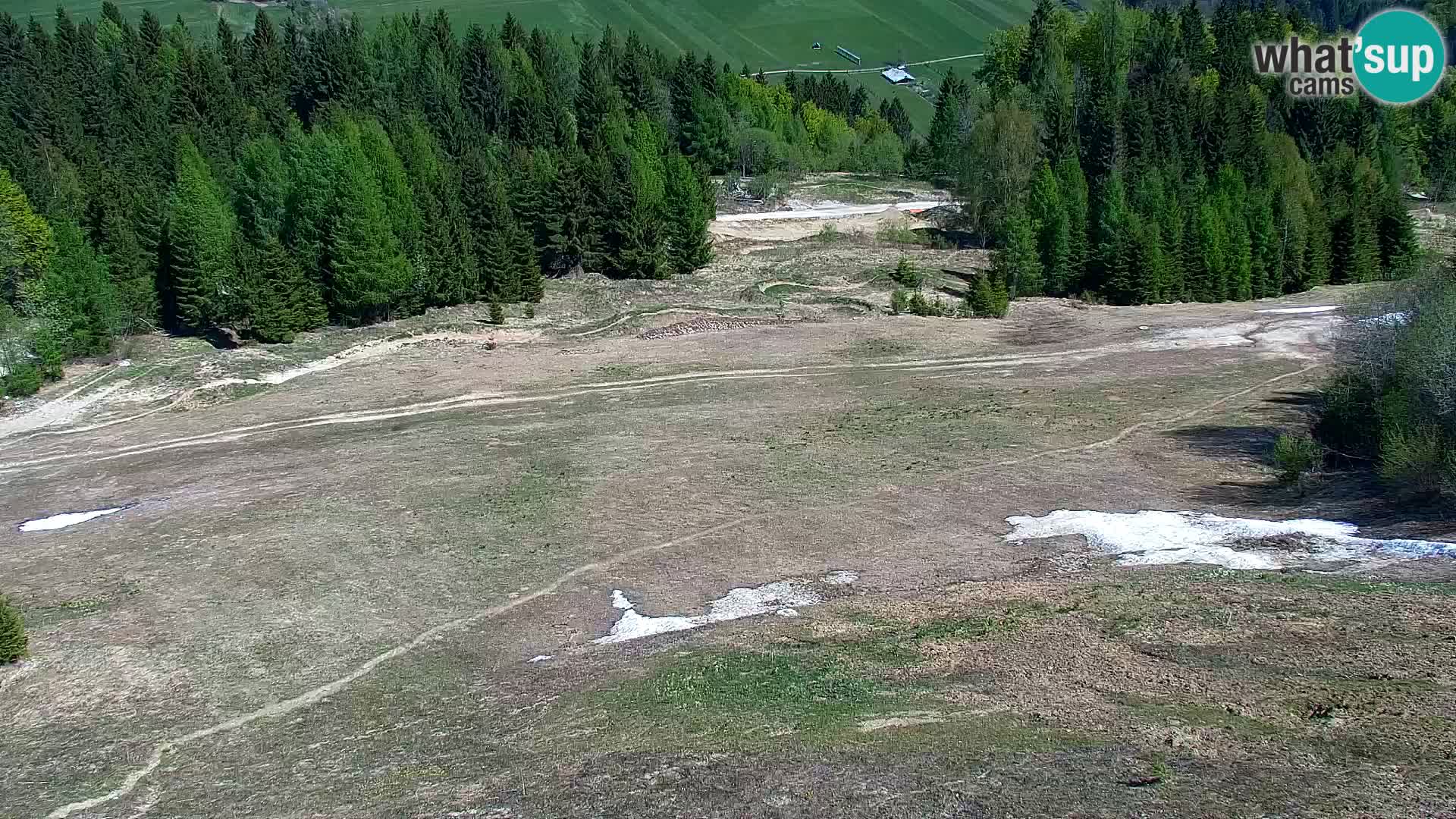 Vitranc Kranjska Gora webcam | VITRANC 1 stazione superiore