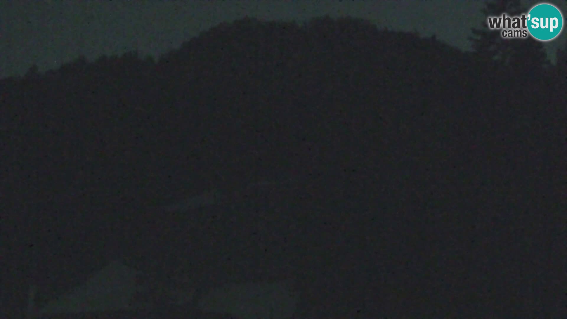 Vitranc Kranjska Gora webcam | VITRANC 1 stazione superiore
