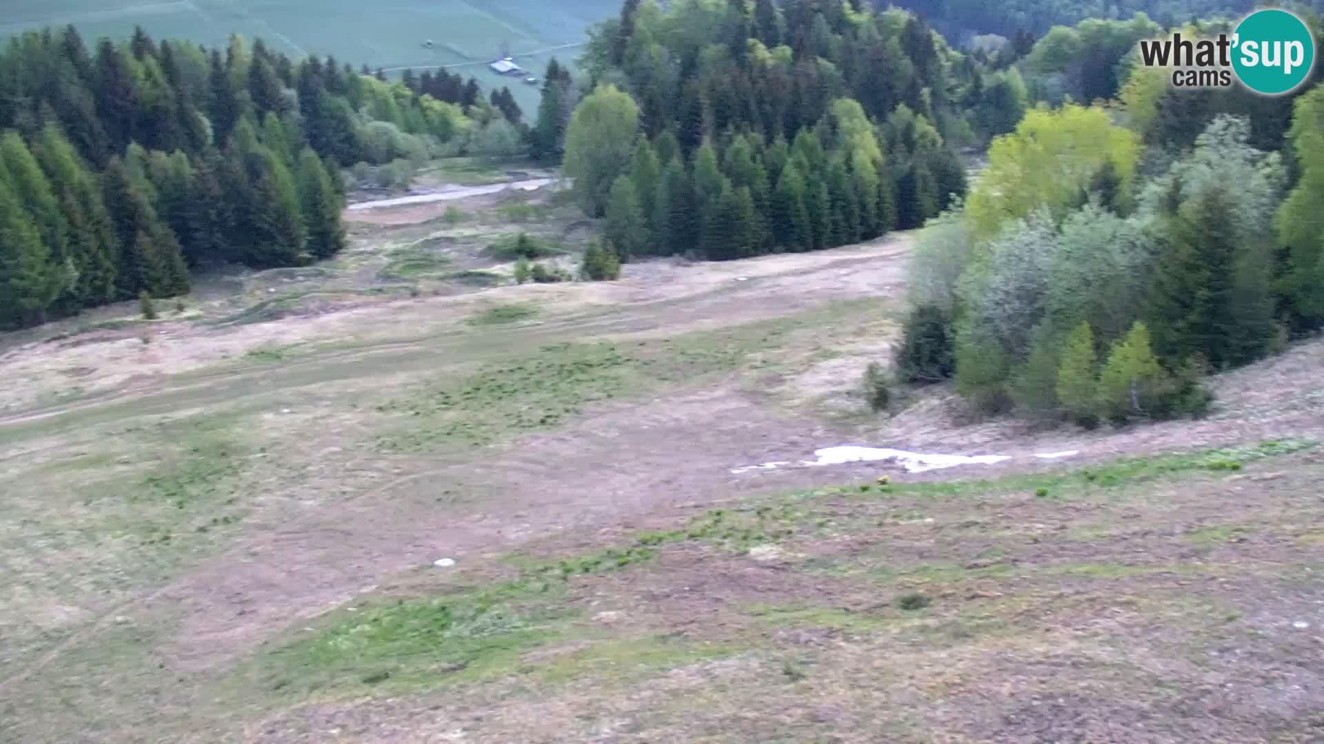 Kranjska Gora livecam VITRANC 1 | estación superior