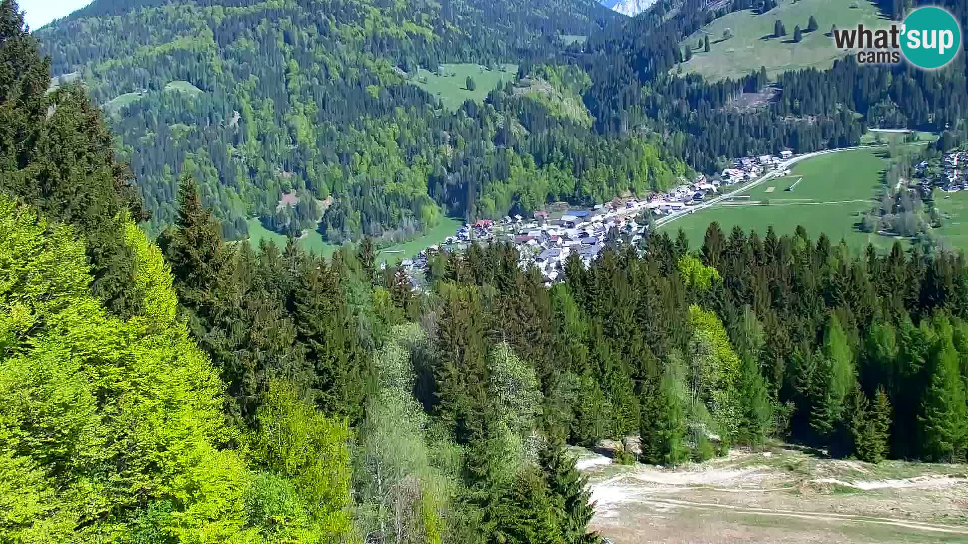 Vitranc Kranjska Gora webcam | VITRANC 1 stazione superiore