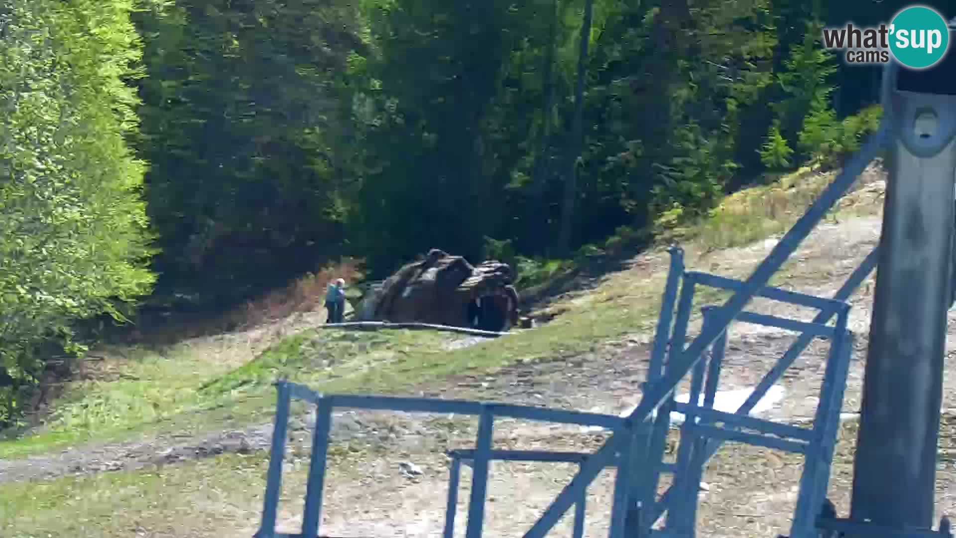 Vitranc Kranjska Gora webcam | VITRANC 1 stazione superiore