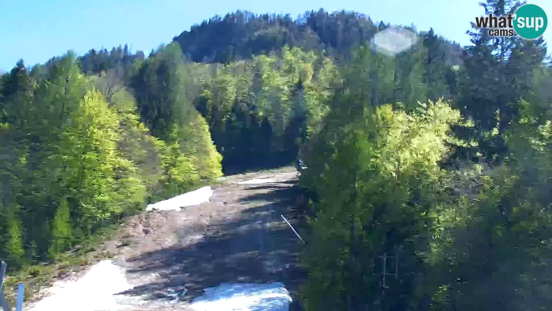 Kranjska Gora livecam VITRANC 1 | estación superior