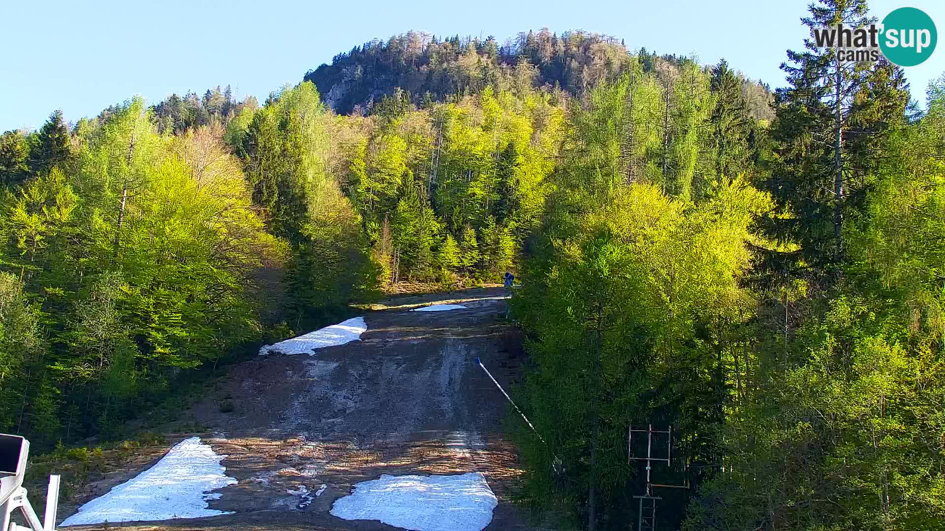 Vitranc Kranjska Gora webcam | VITRANC 1 stazione superiore