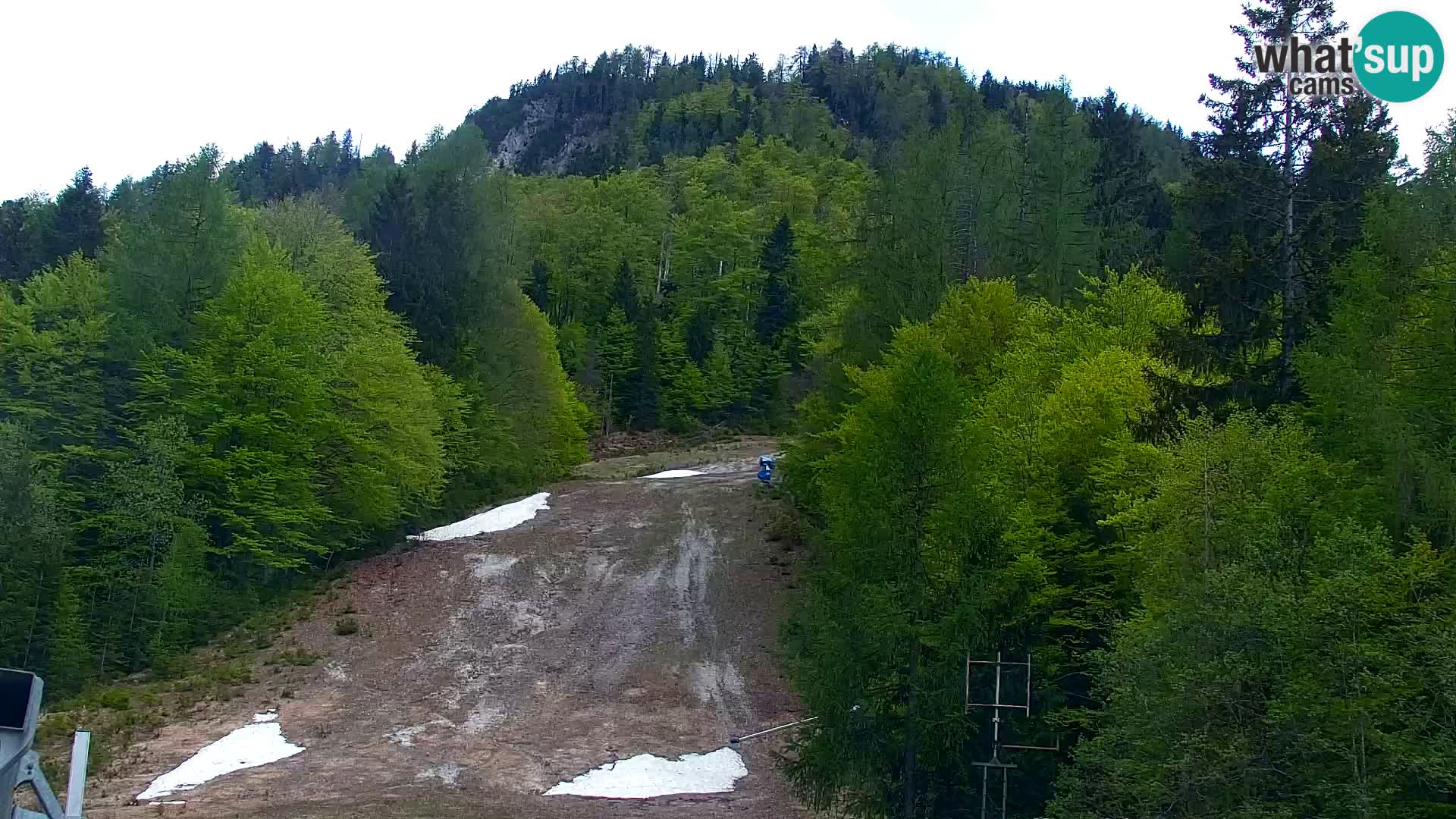 Vitranc Kranjska Gora webcam | VITRANC 1 stazione superiore