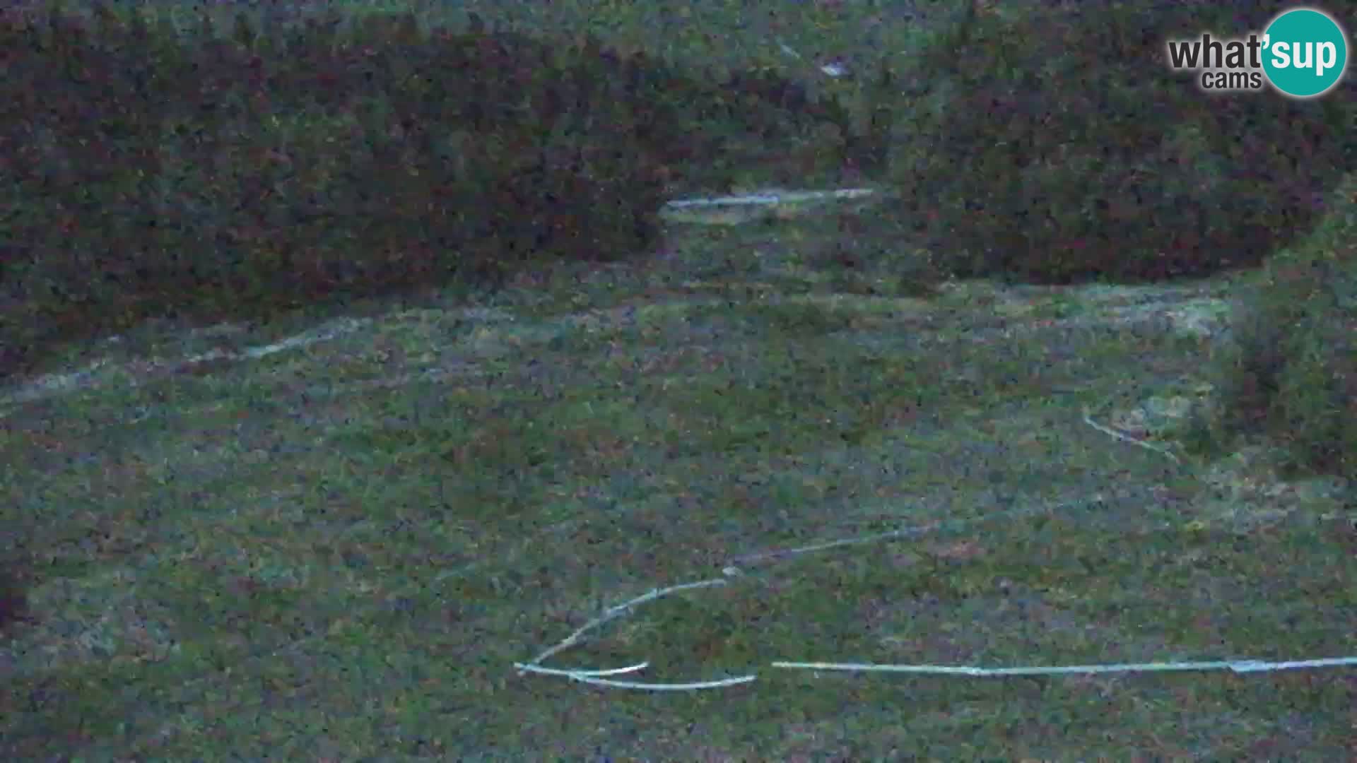 Vitranc Kranjska Gora webcam | VITRANC 1 stazione superiore