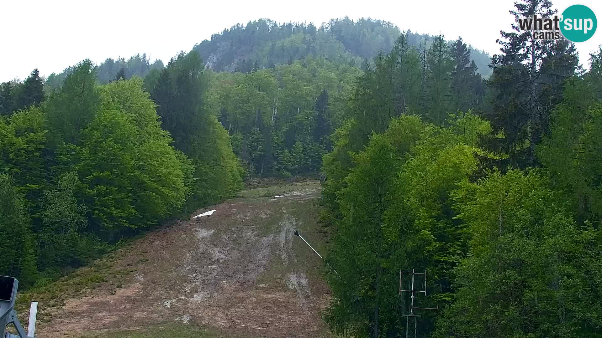 Vitranc Kranjska Gora webcam | VITRANC 1 stazione superiore