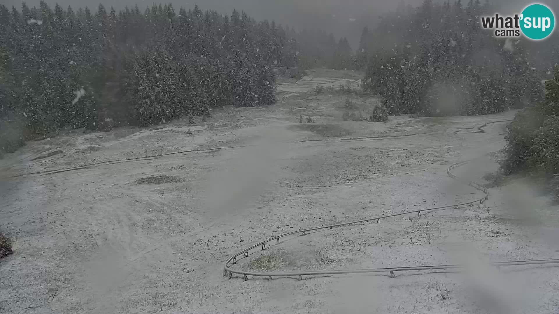 Vitranc Kranjska Gora webcam | VITRANC 1 stazione superiore