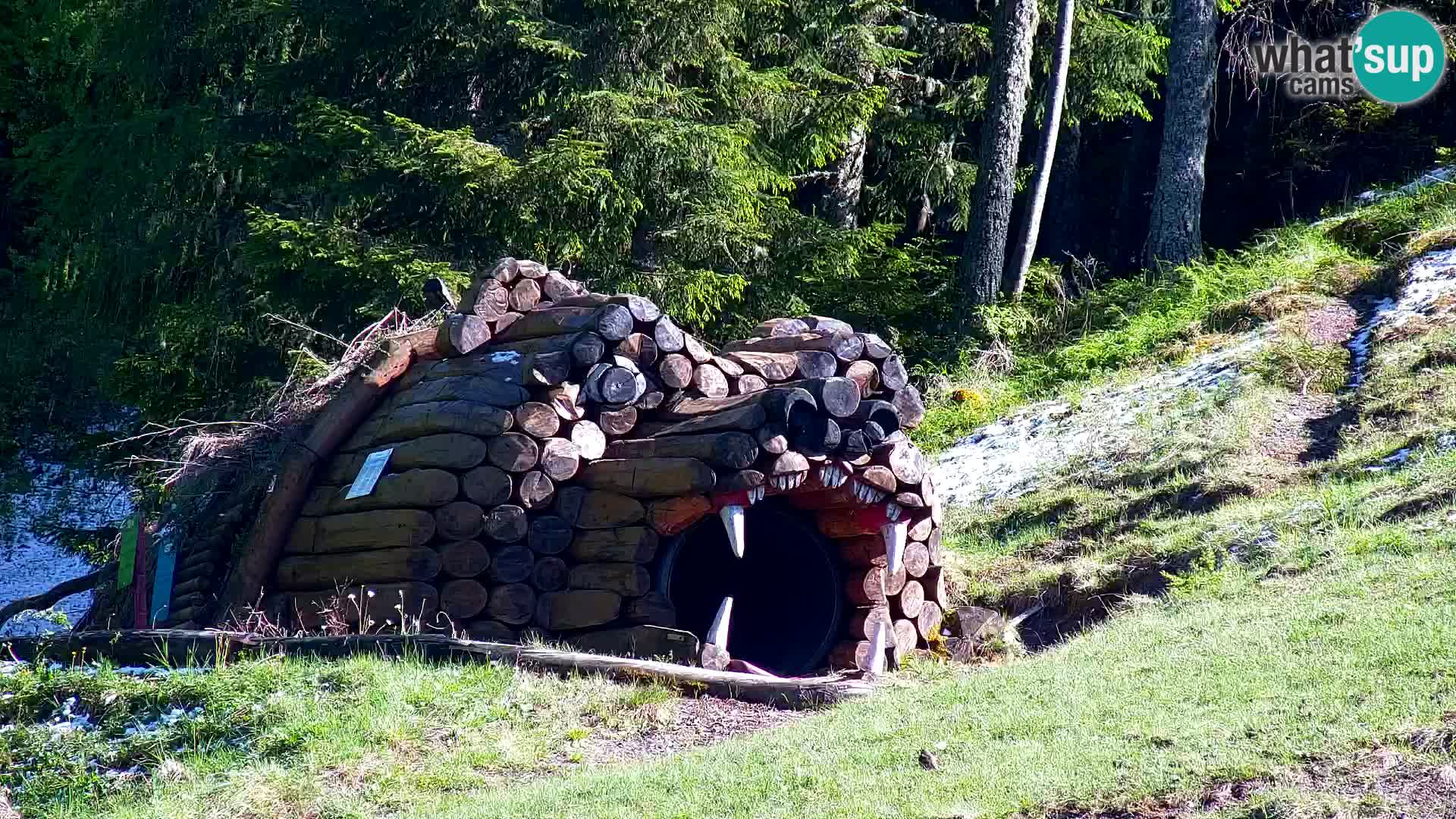 Kranjska Gora web kamera Vitranc | VITRANC 1 gornja postaja