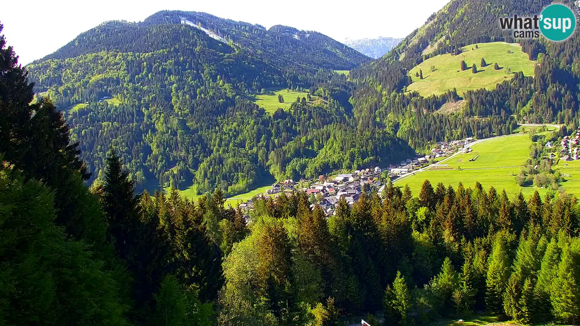 Vitranc Kranjska Gora webcam | VITRANC 1 stazione superiore