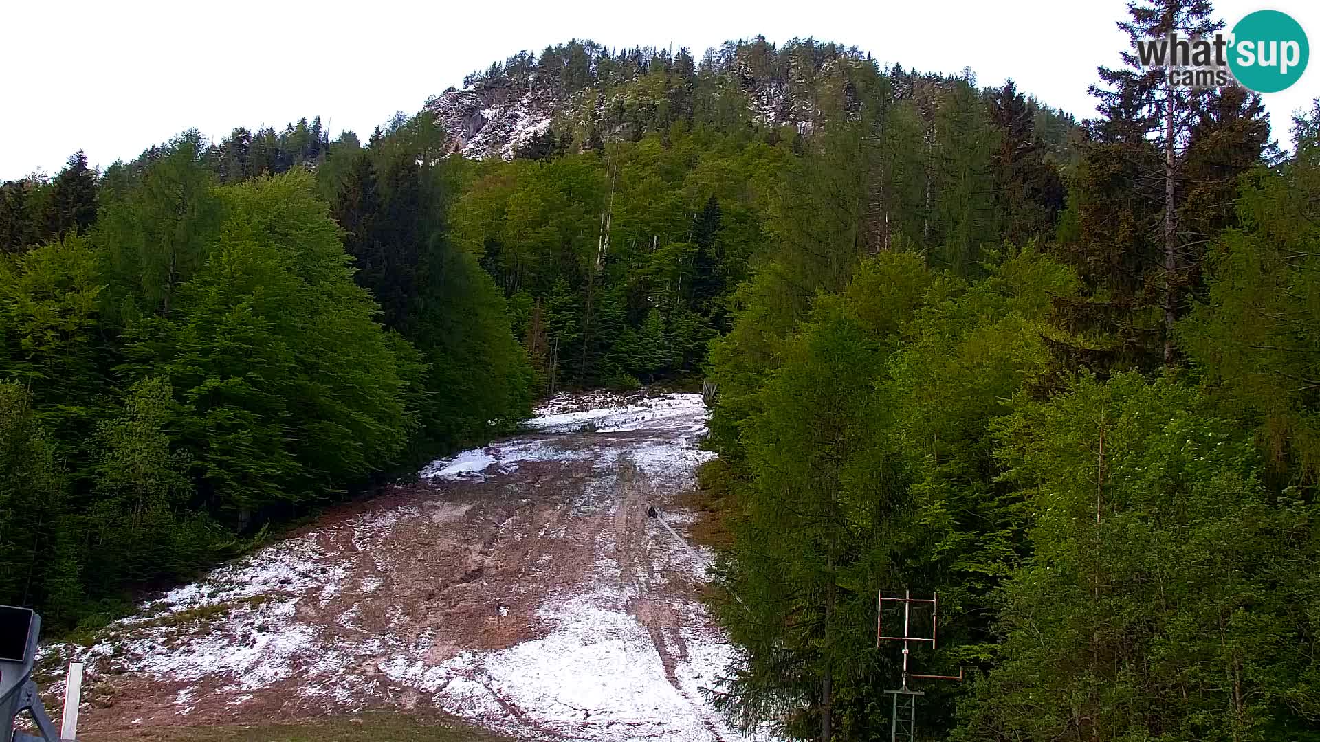 Vitranc Kranjska Gora webcam | VITRANC 1 stazione superiore