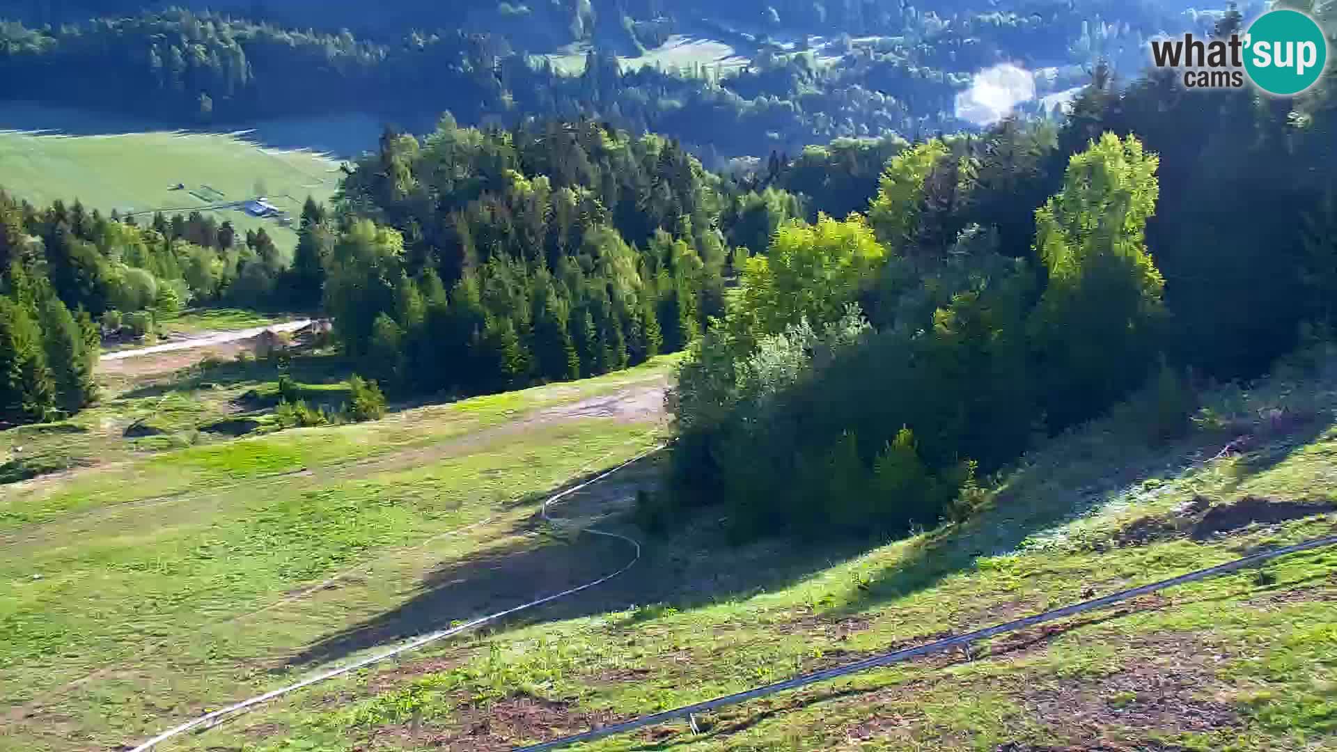 Kranjska Gora livecam VITRANC 1 | estación superior