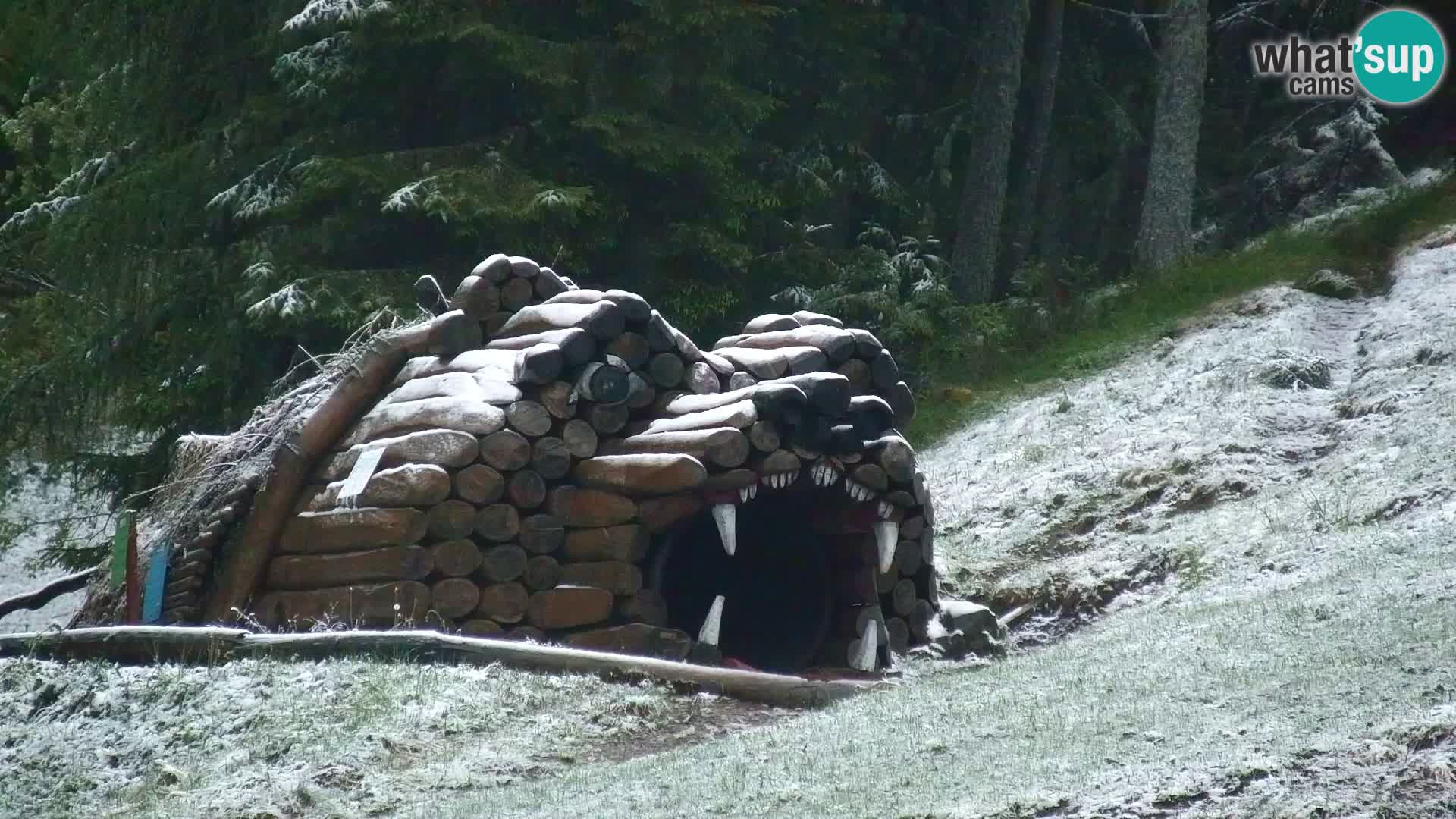 Kranjska Gora kamera VITRANC 1 | Zgornja postaja
