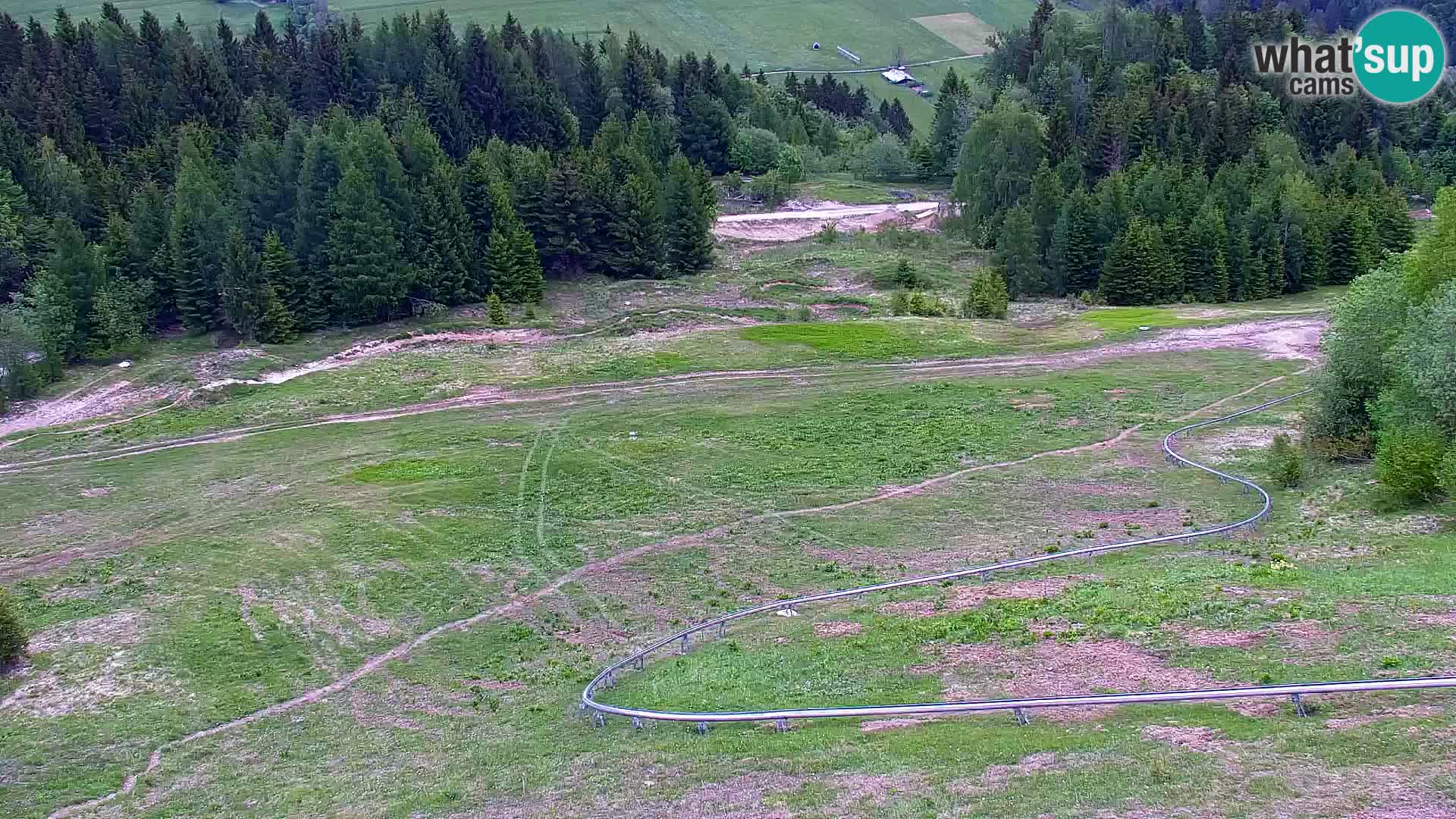 Vitranc Kranjska Gora webcam | VITRANC 1 stazione superiore