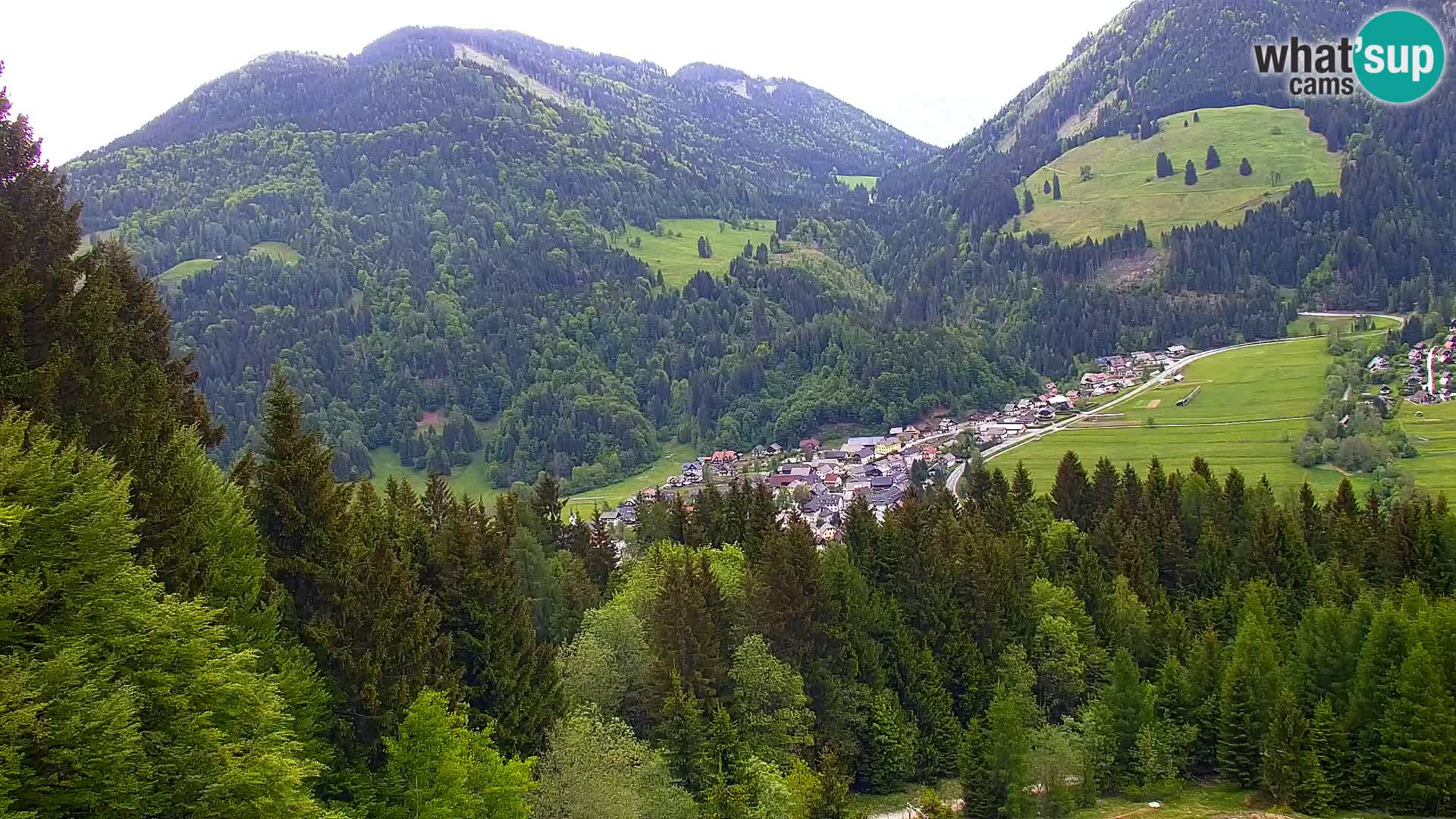 Vitranc Kranjska Gora webcam | VITRANC 1 stazione superiore