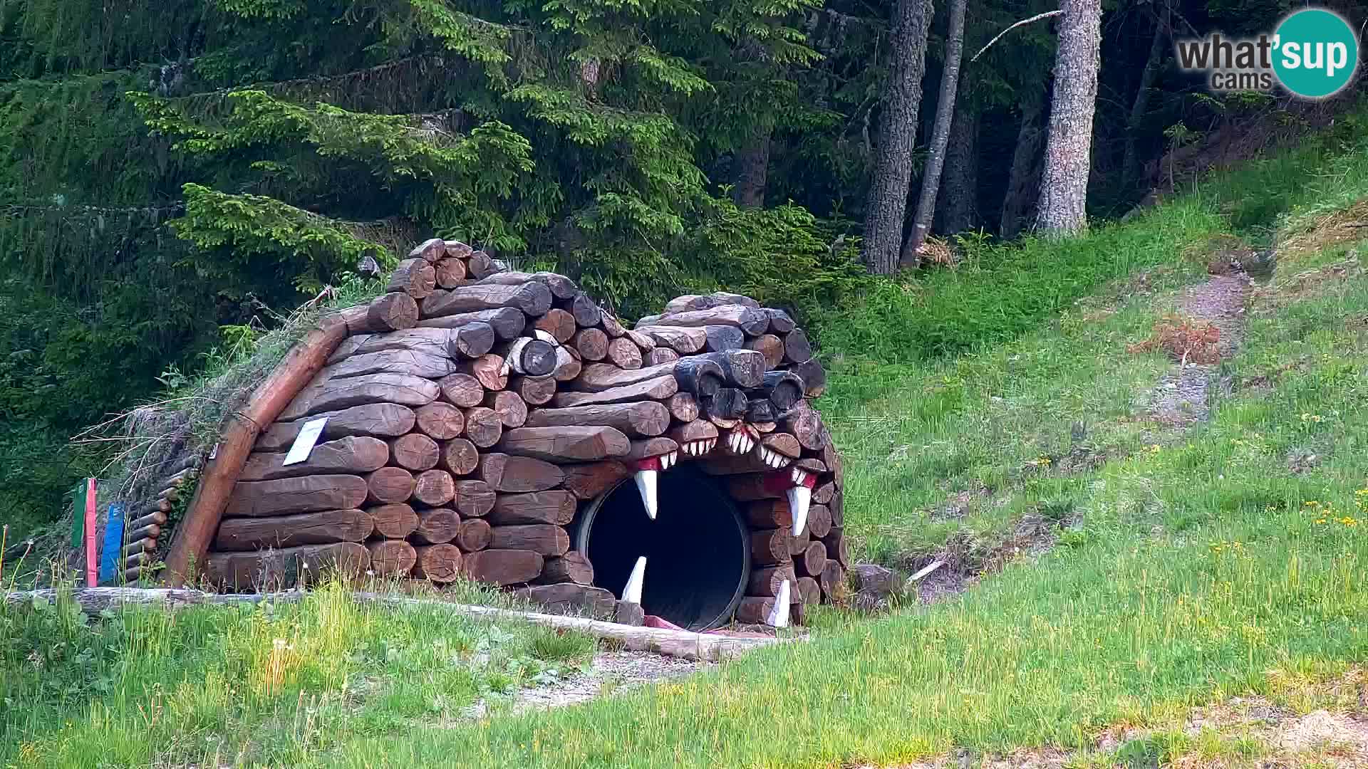 Kranjska Gora kamera VITRANC 1 | Zgornja postaja