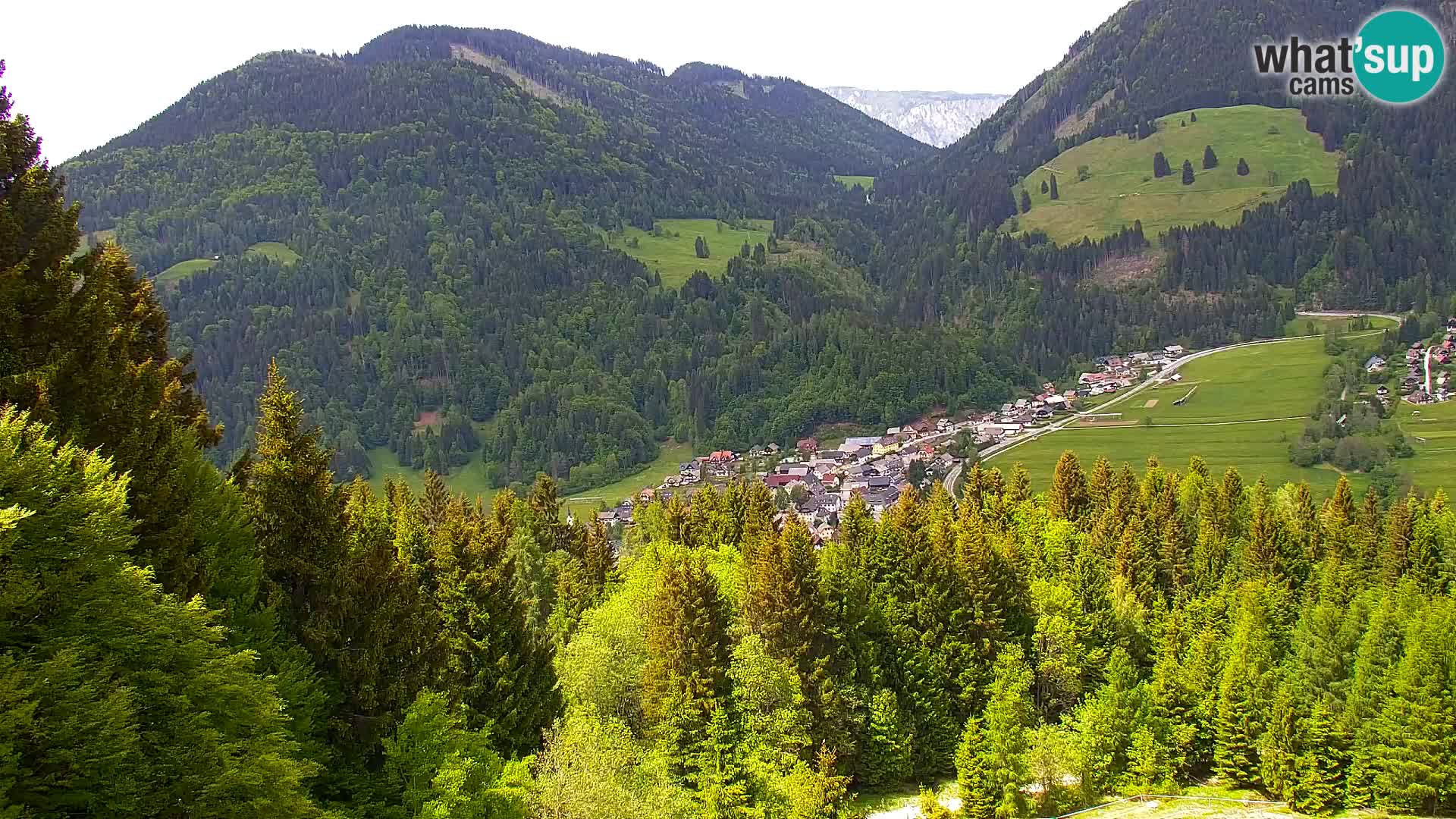 Kranjska Gora livecam VITRANC 1 | estación superior