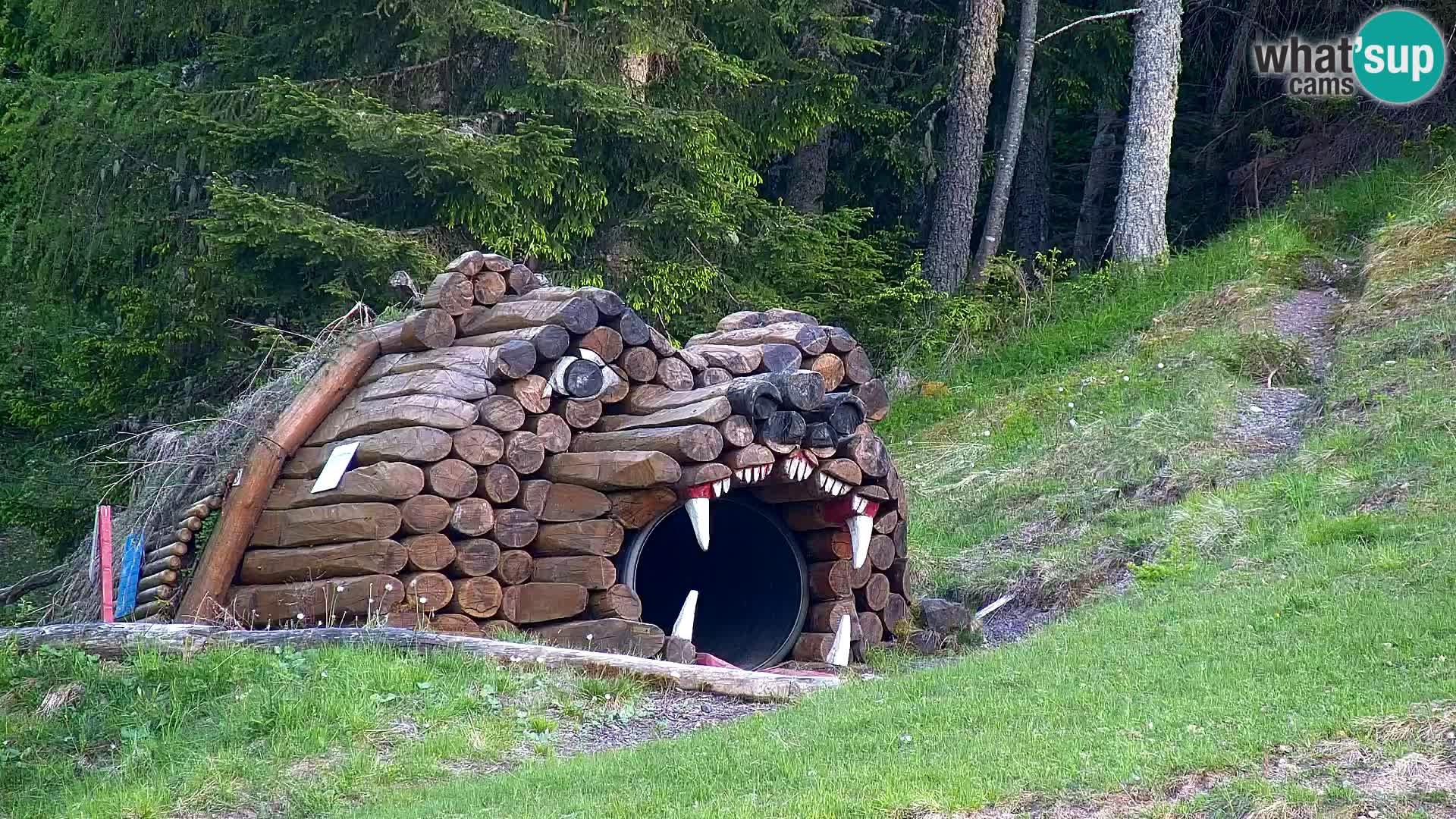 Vitranc Kranjska Gora webcam | VITRANC 1 stazione superiore