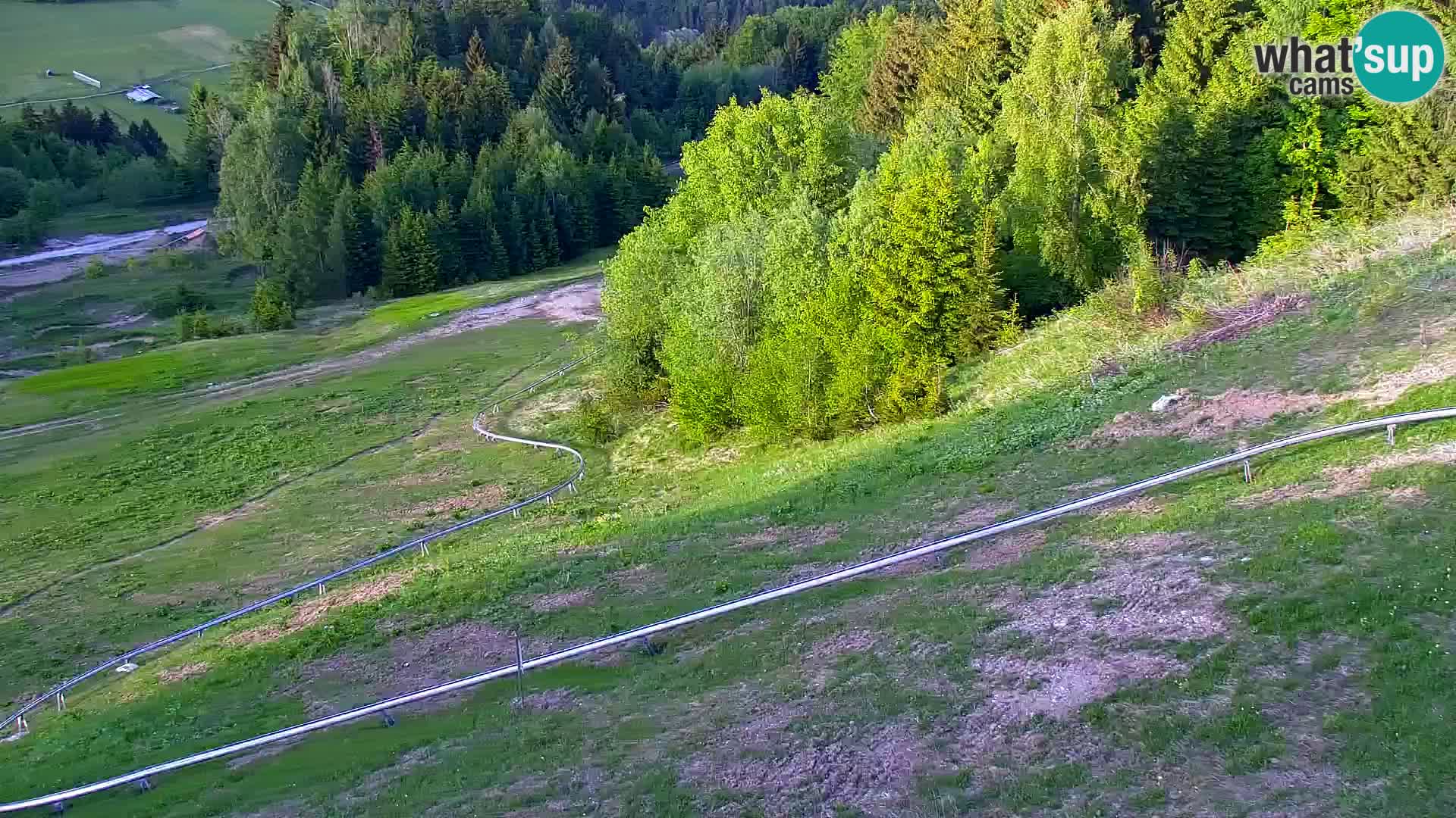 Vitranc Kranjska Gora webcam | VITRANC 1 stazione superiore