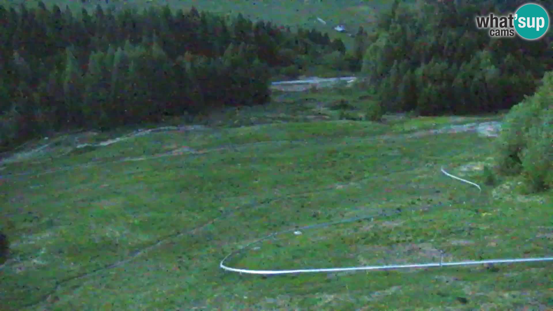 Vitranc Kranjska Gora webcam | VITRANC 1 stazione superiore
