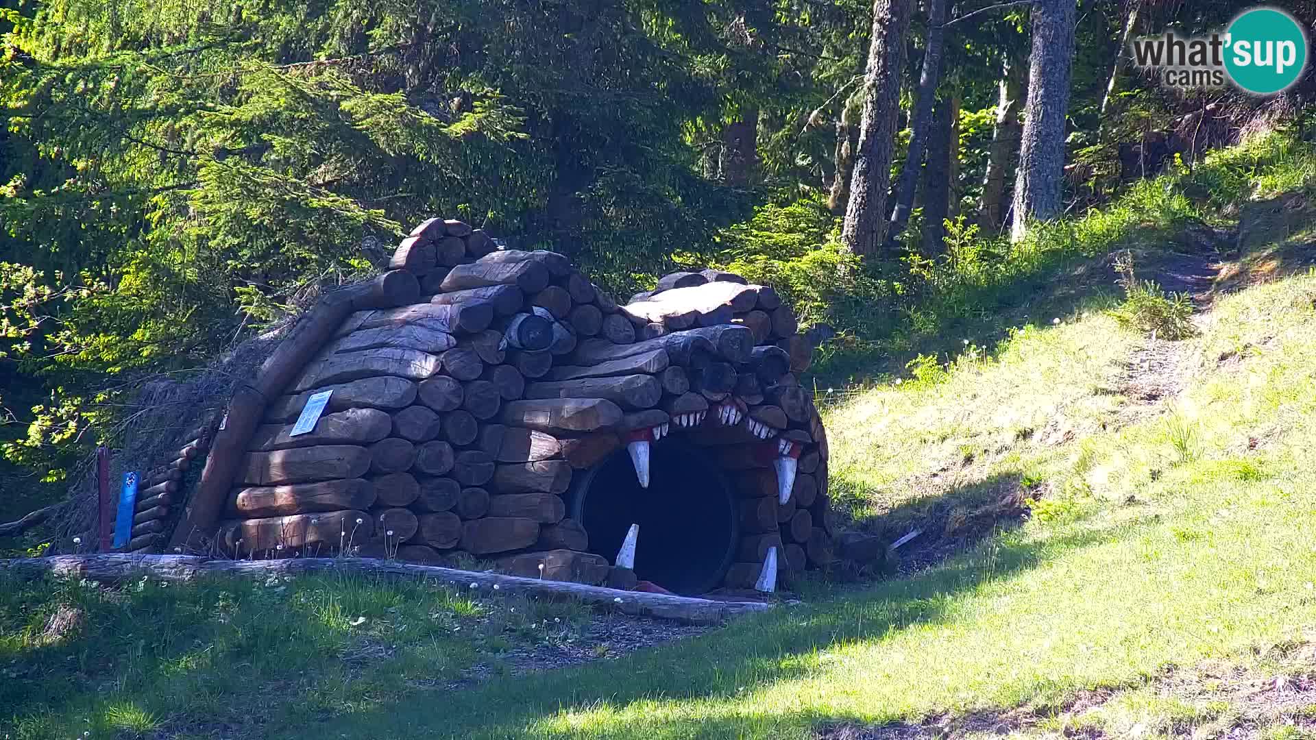 Kranjska Gora web kamera Vitranc | VITRANC 1 gornja postaja