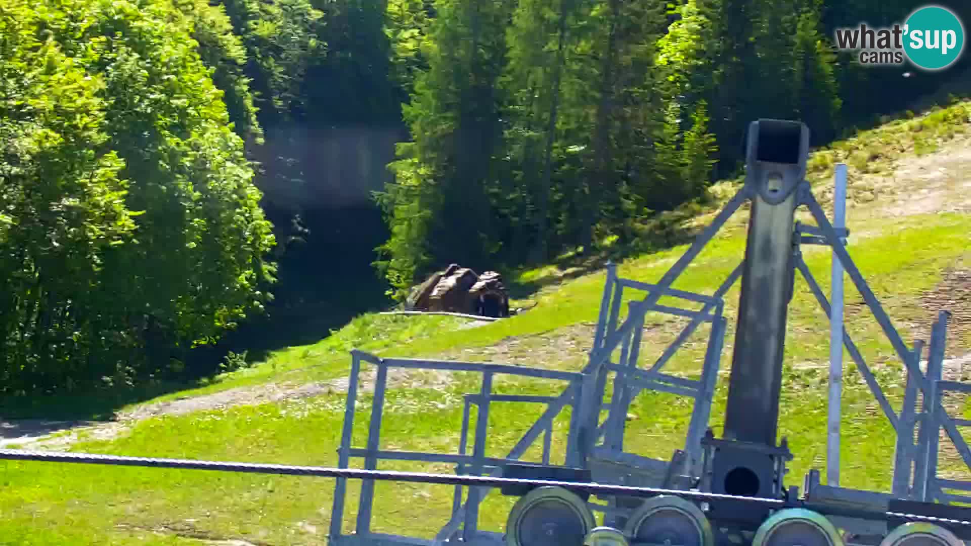 Kranjska Gora webcam VITRANC 1 | obere Station