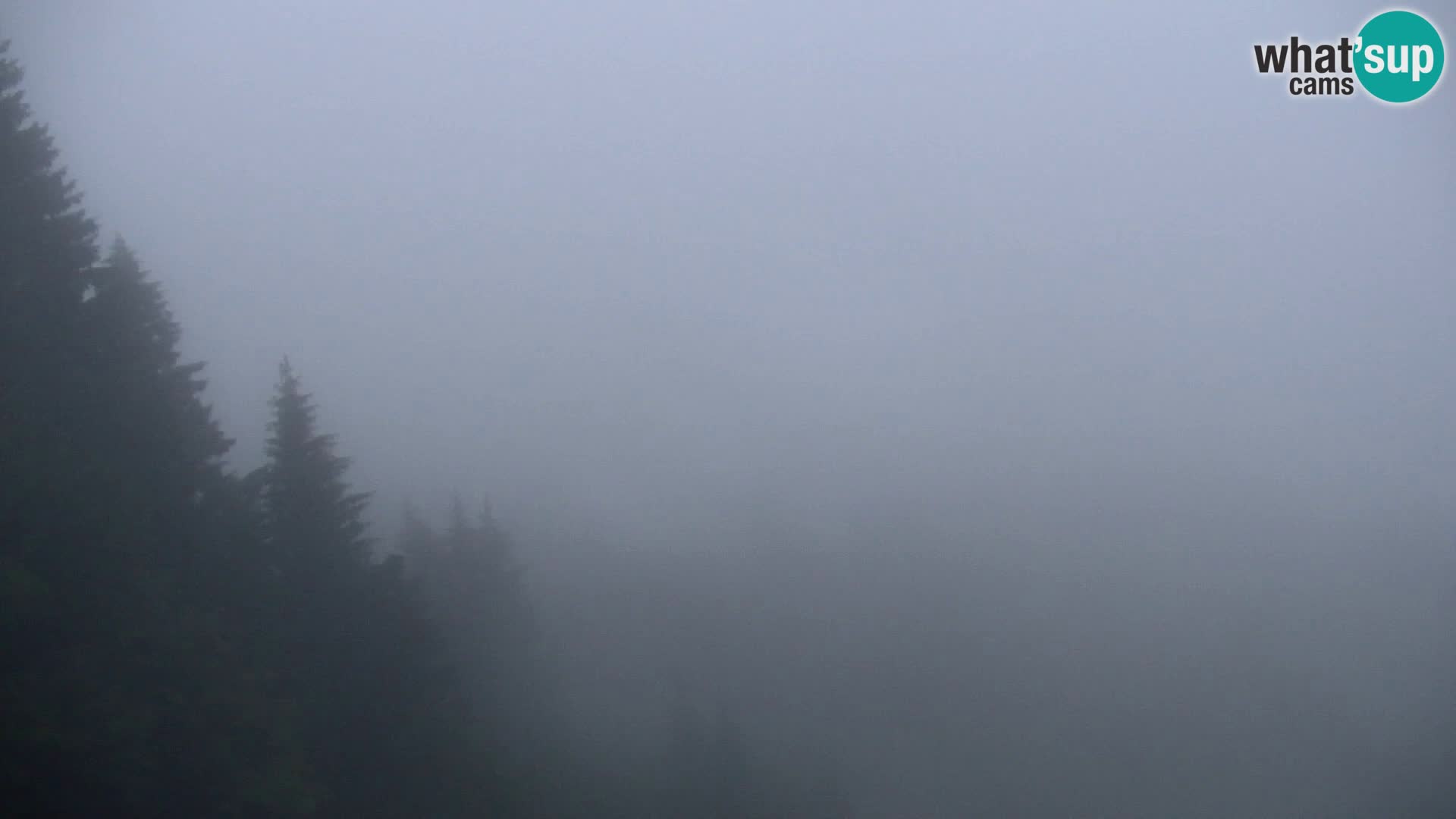 Vitranc Kranjska Gora webcam | VITRANC 1 stazione superiore