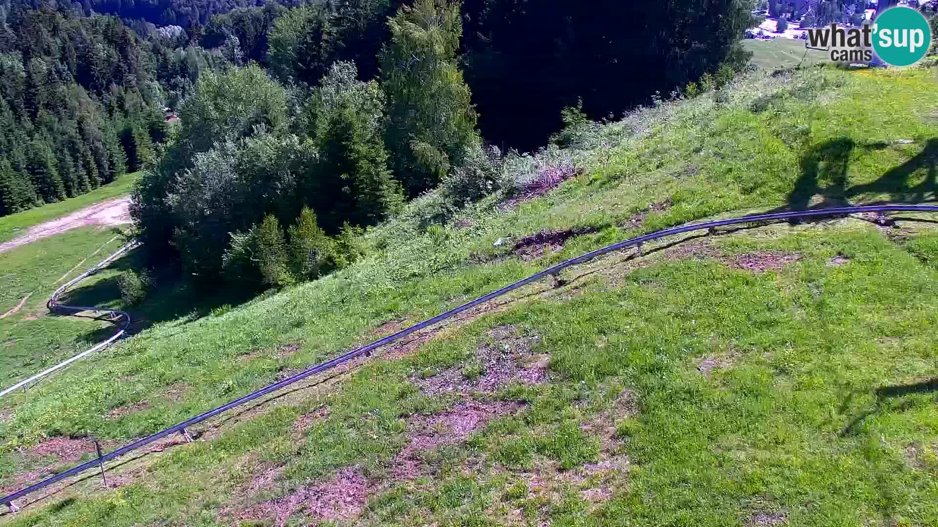 Kranjska Gora livecam VITRANC 1 | estación superior
