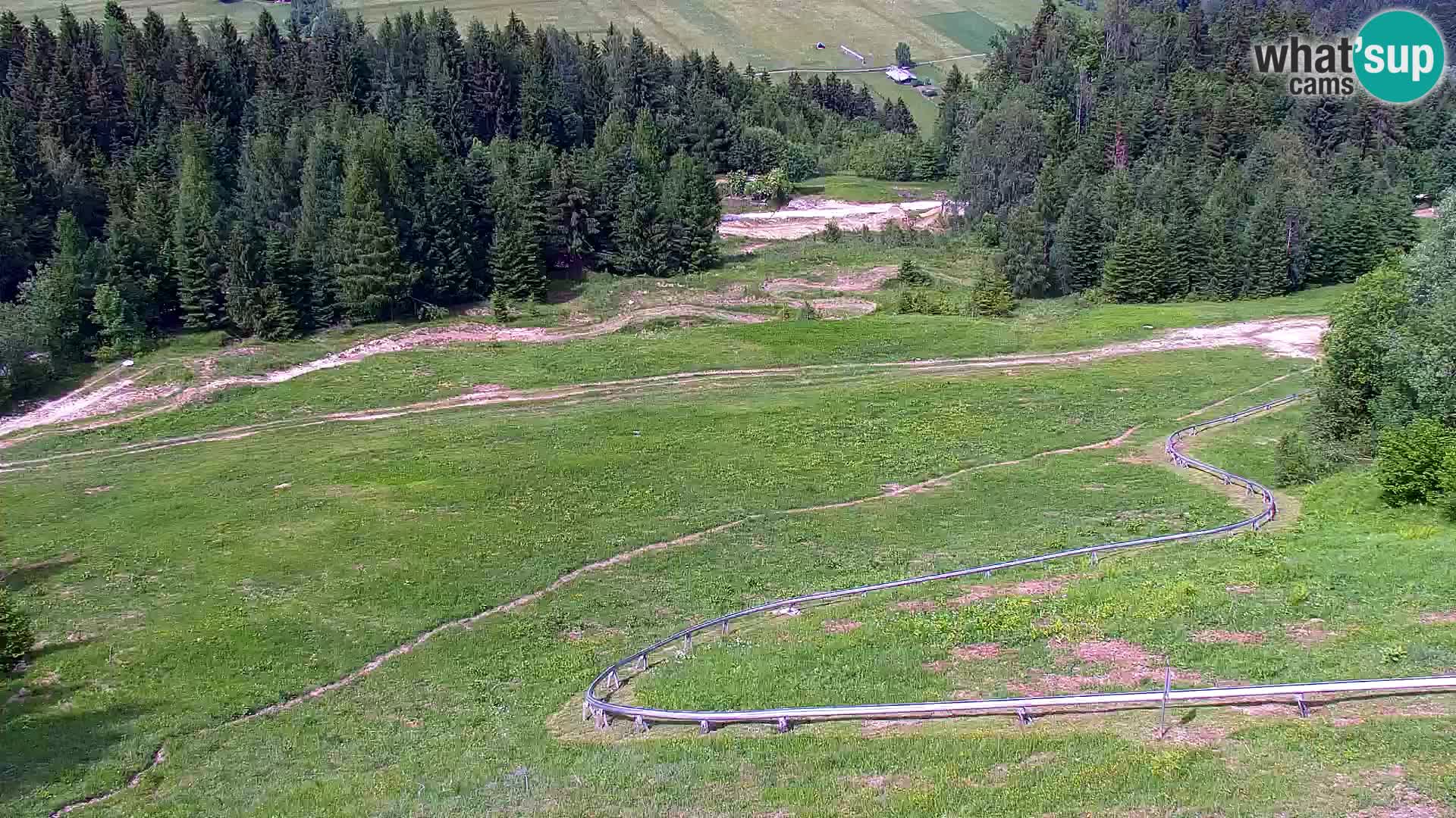 Vitranc Kranjska Gora webcam | VITRANC 1 stazione superiore